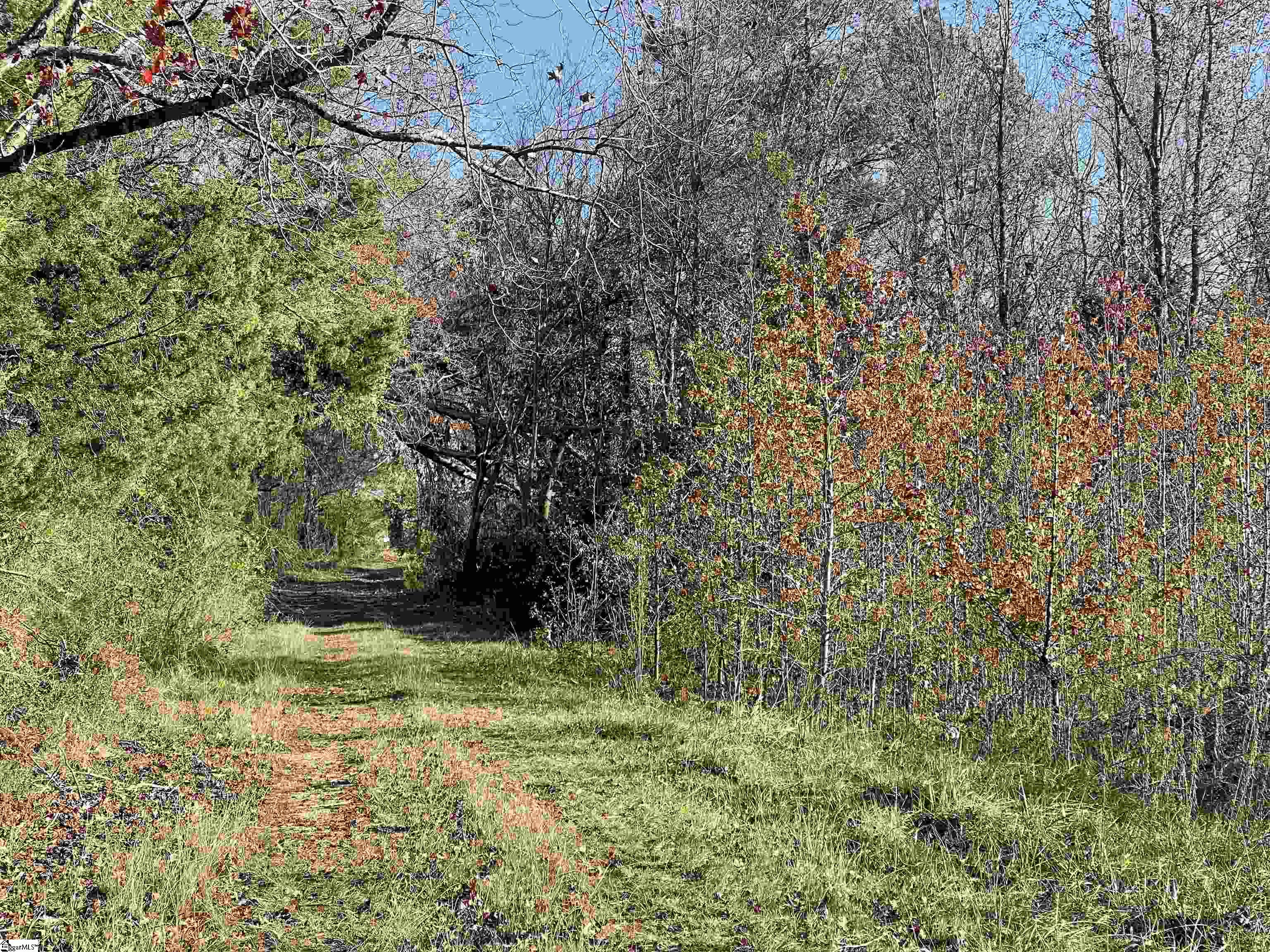 11315 N 11315 N 56 Highway Clinton, SC 29325