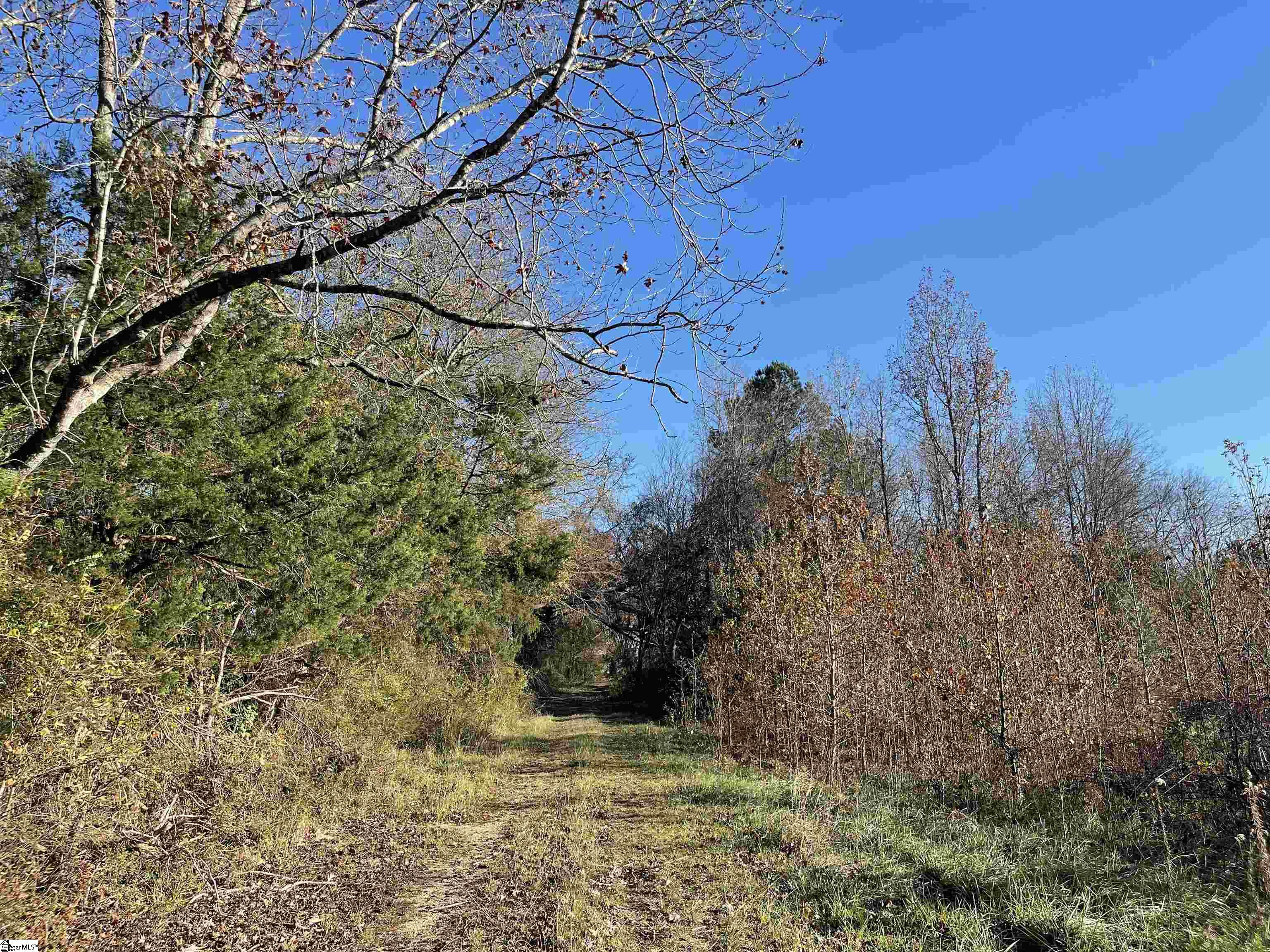 11315 N 56, Clinton, South Carolina image 2