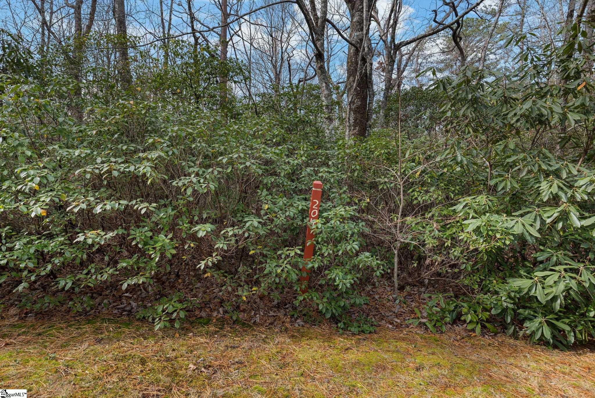 00 Conifer Falls, Cleveland, South Carolina image 1