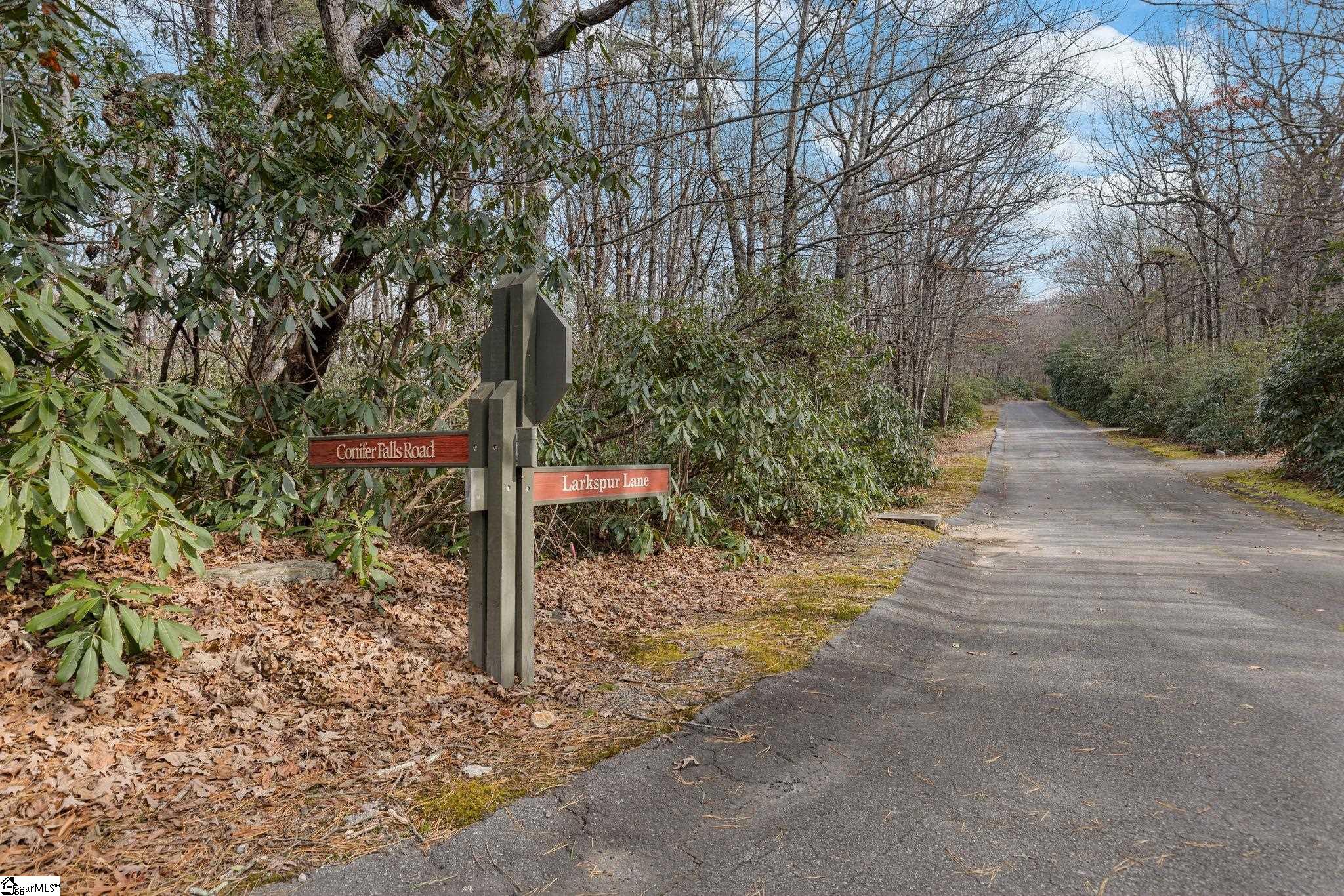 00 Conifer Falls, Cleveland, South Carolina image 2