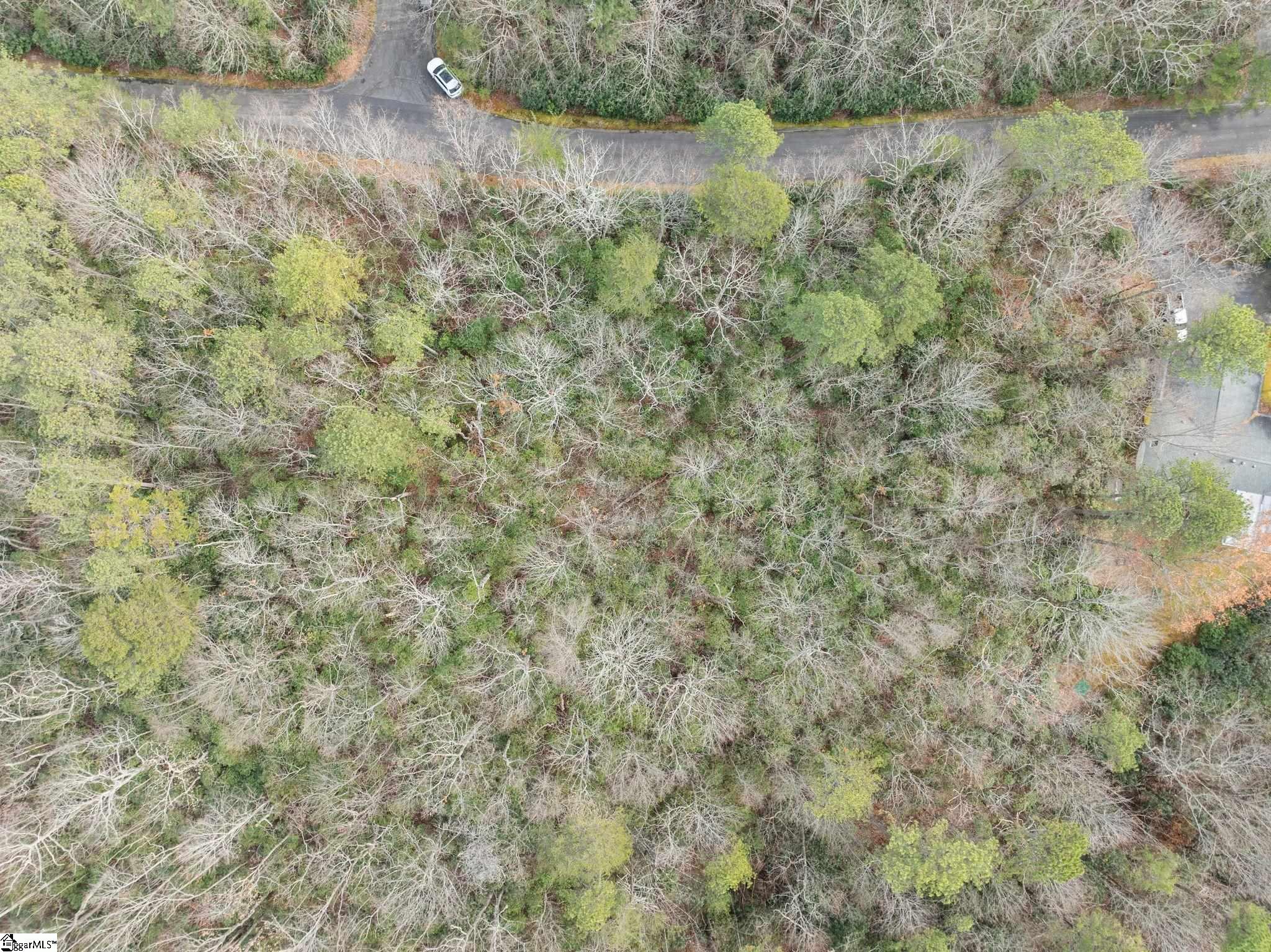 00 Conifer Falls, Cleveland, South Carolina image 13