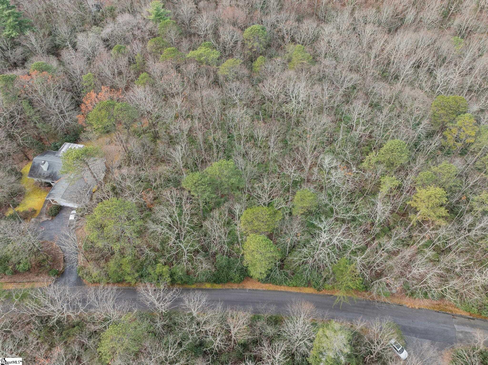 00 Conifer Falls, Cleveland, South Carolina image 14
