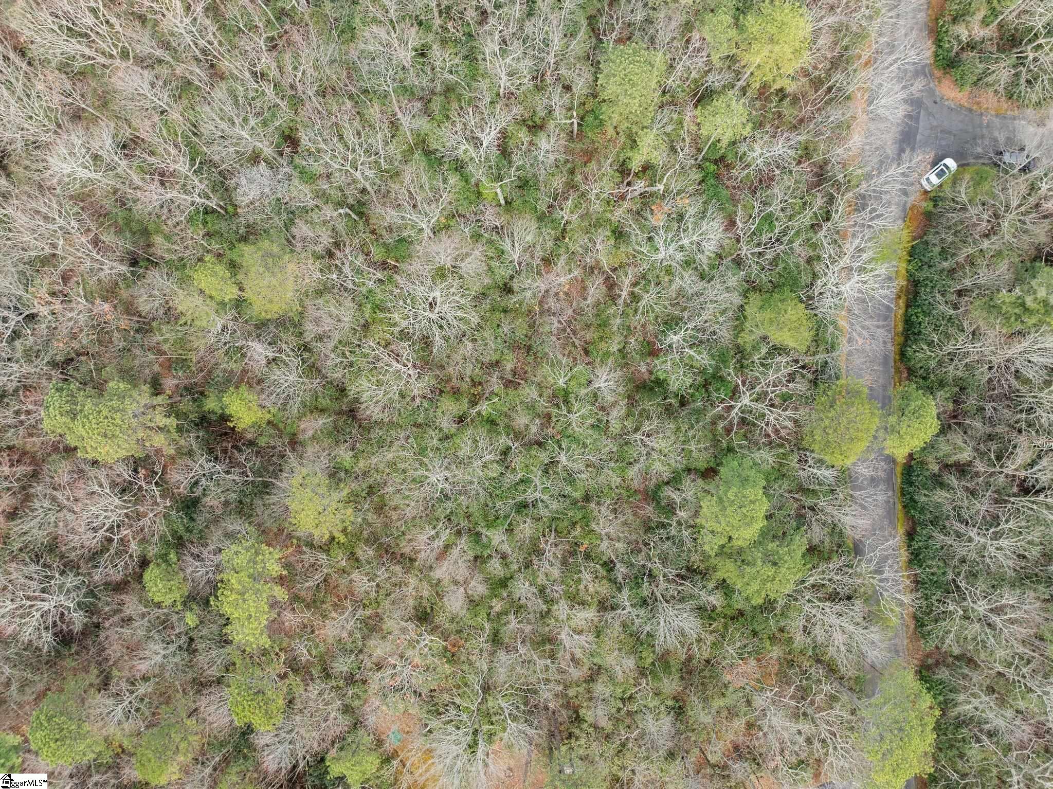 00 Conifer Falls, Cleveland, South Carolina image 16