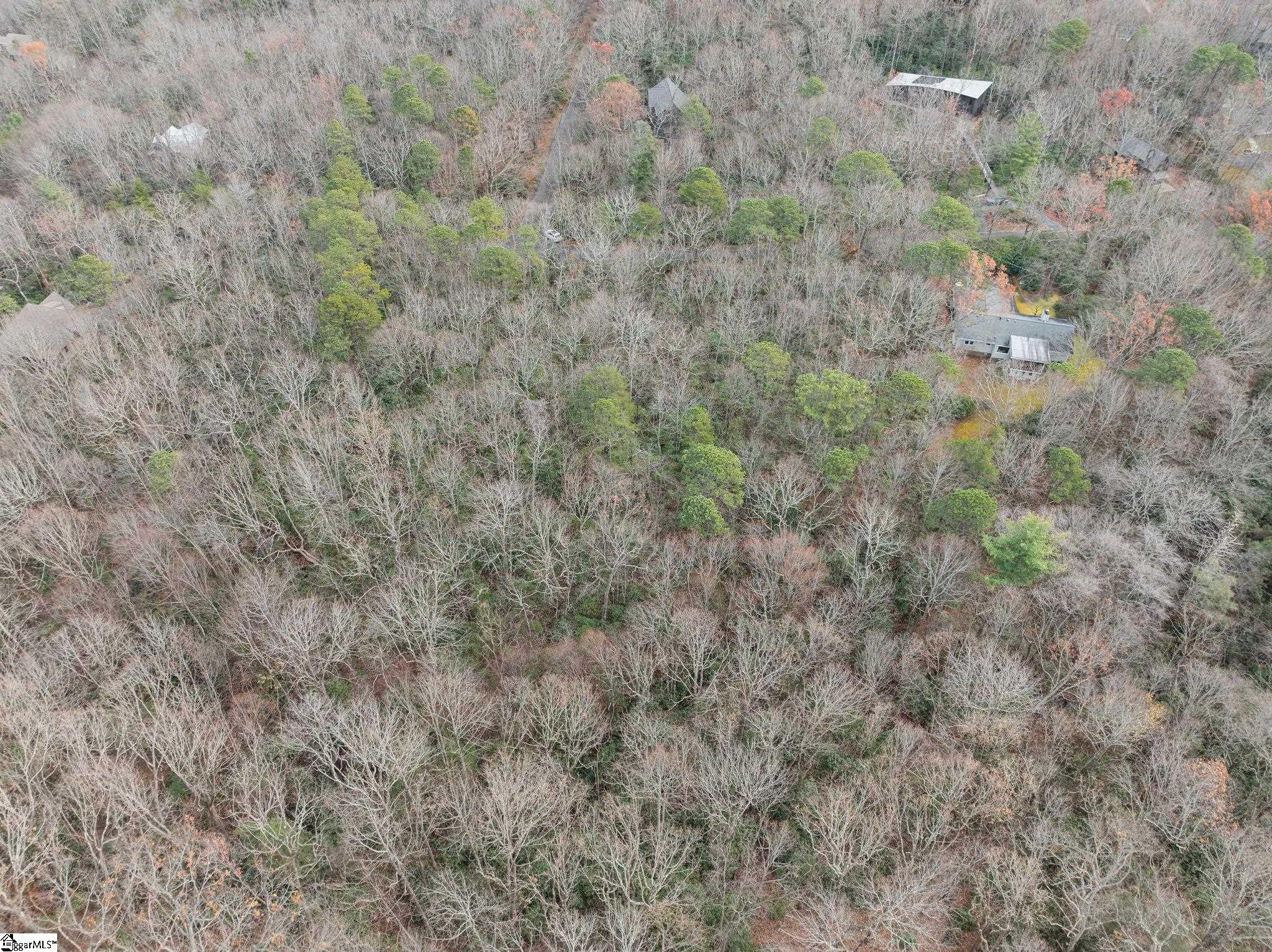 00 Conifer Falls, Cleveland, South Carolina image 17