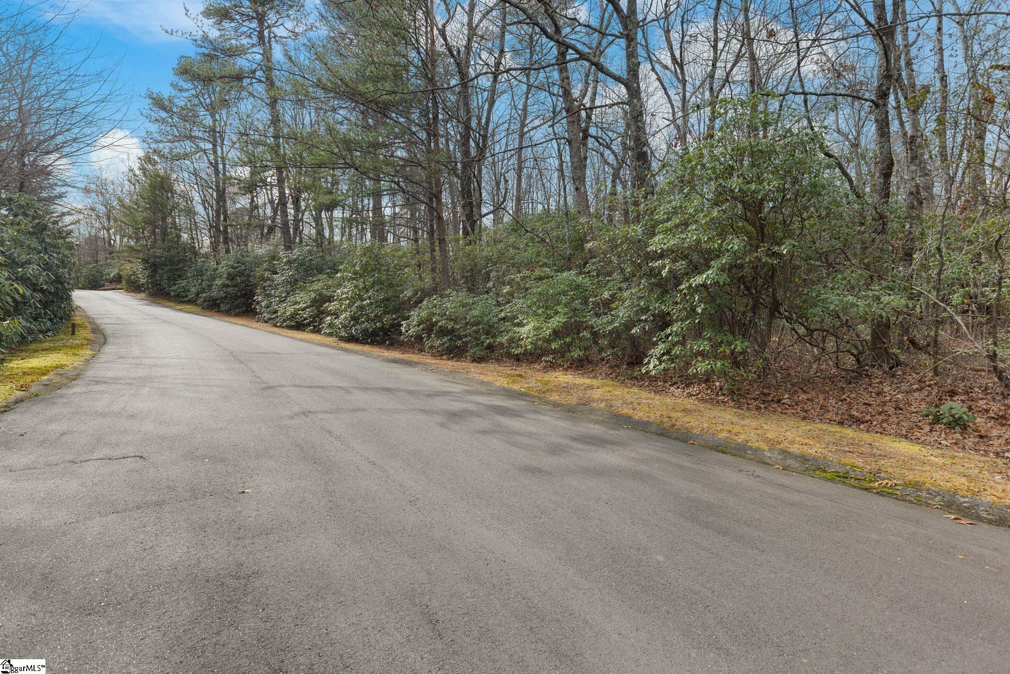 00 Conifer Falls, Cleveland, South Carolina image 3