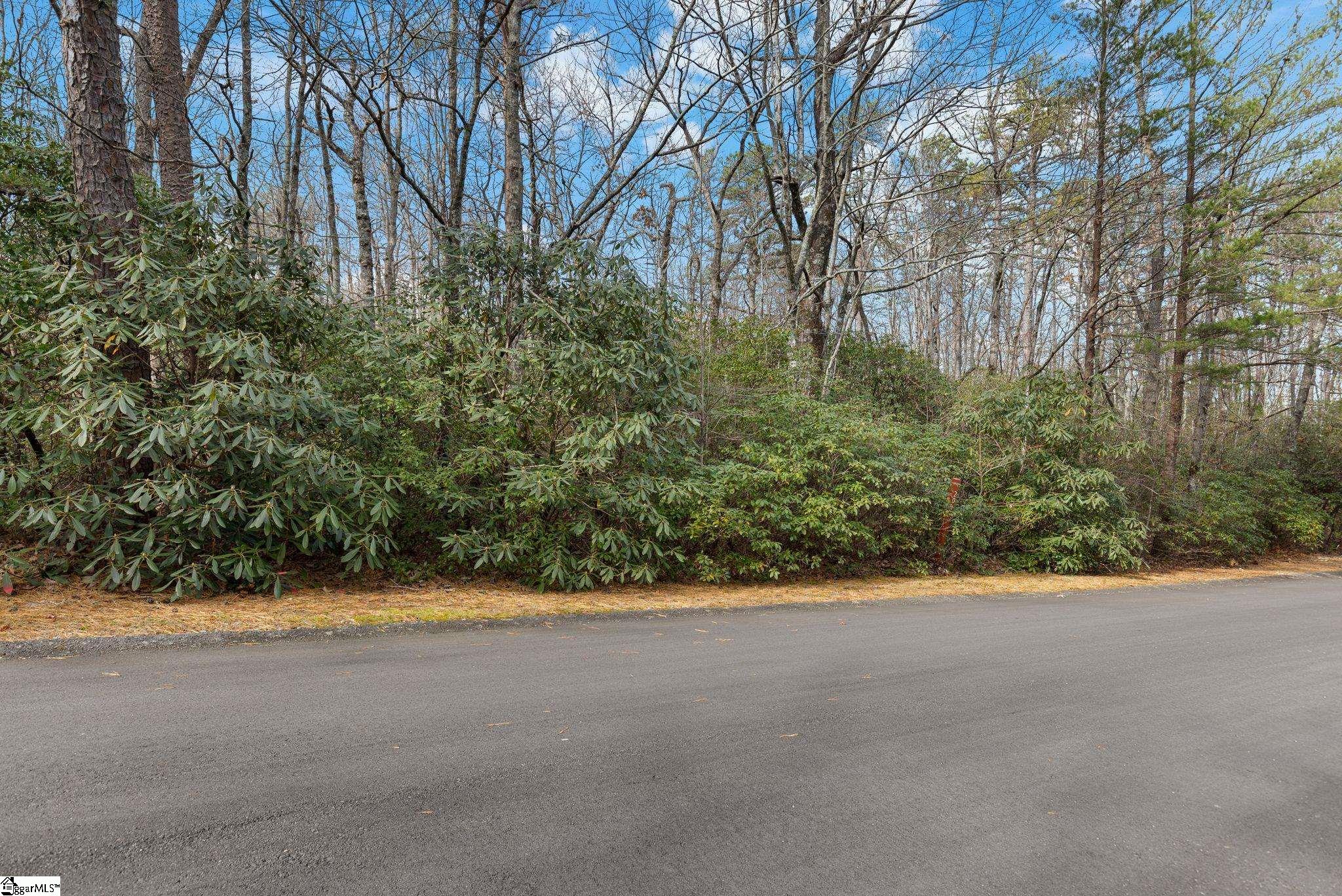 00 Conifer Falls, Cleveland, South Carolina image 4