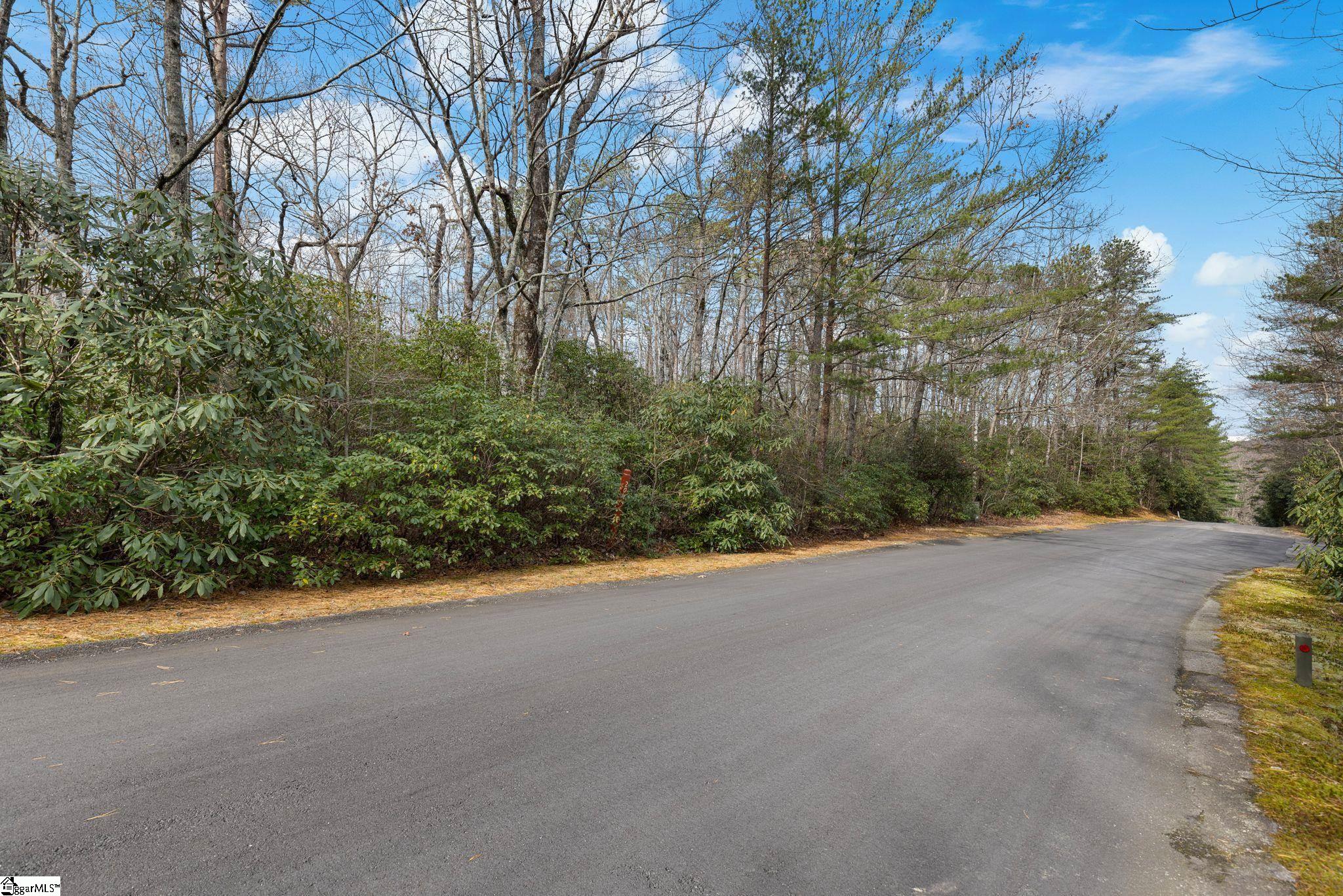 00 Conifer Falls, Cleveland, South Carolina image 5