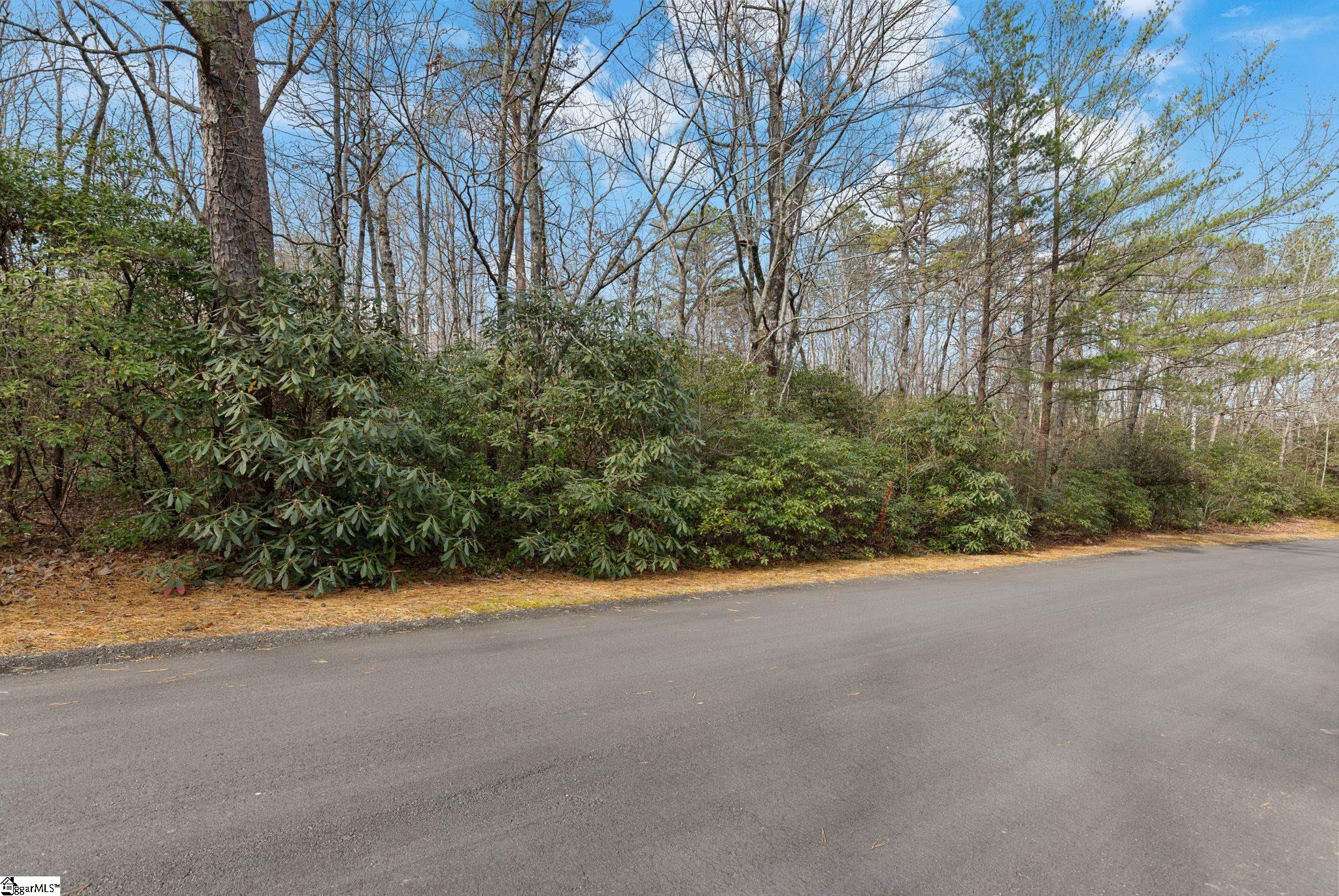 00 Conifer Falls, Cleveland, South Carolina image 6