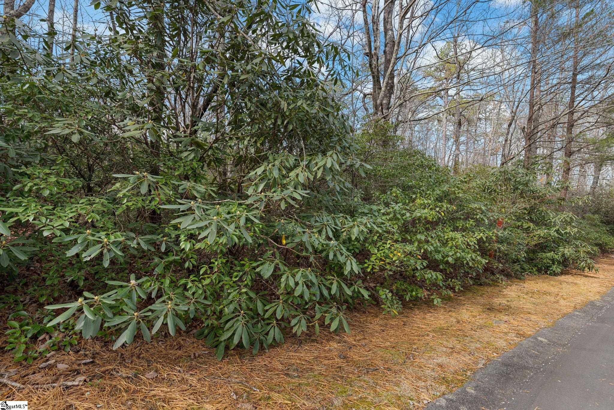 00 Conifer Falls, Cleveland, South Carolina image 7