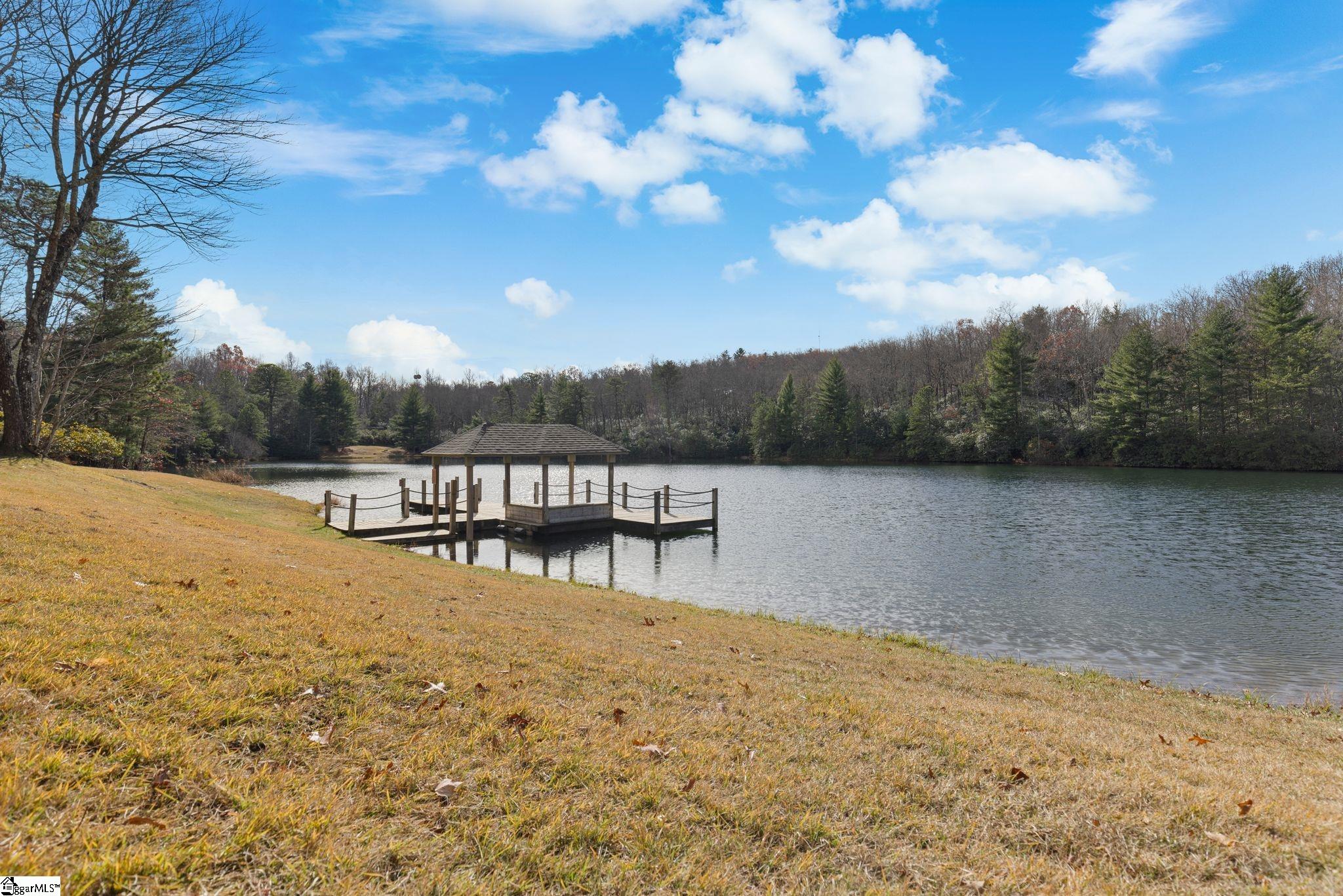 00 Conifer Falls, Cleveland, South Carolina image 10