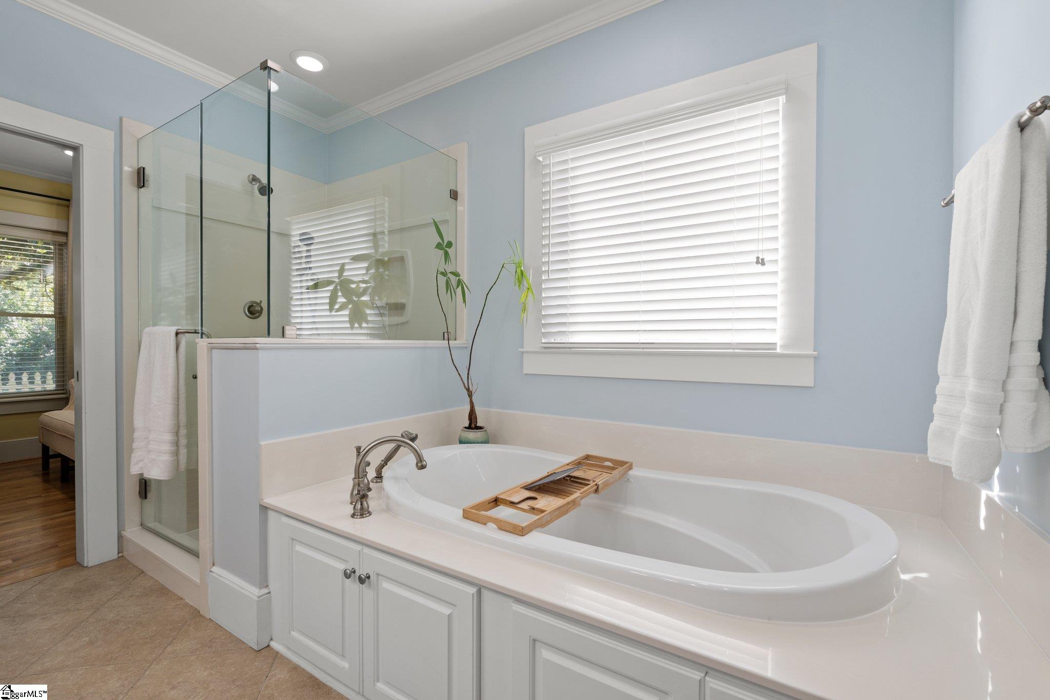 243 Old River, Pelzer, South Carolina image 13