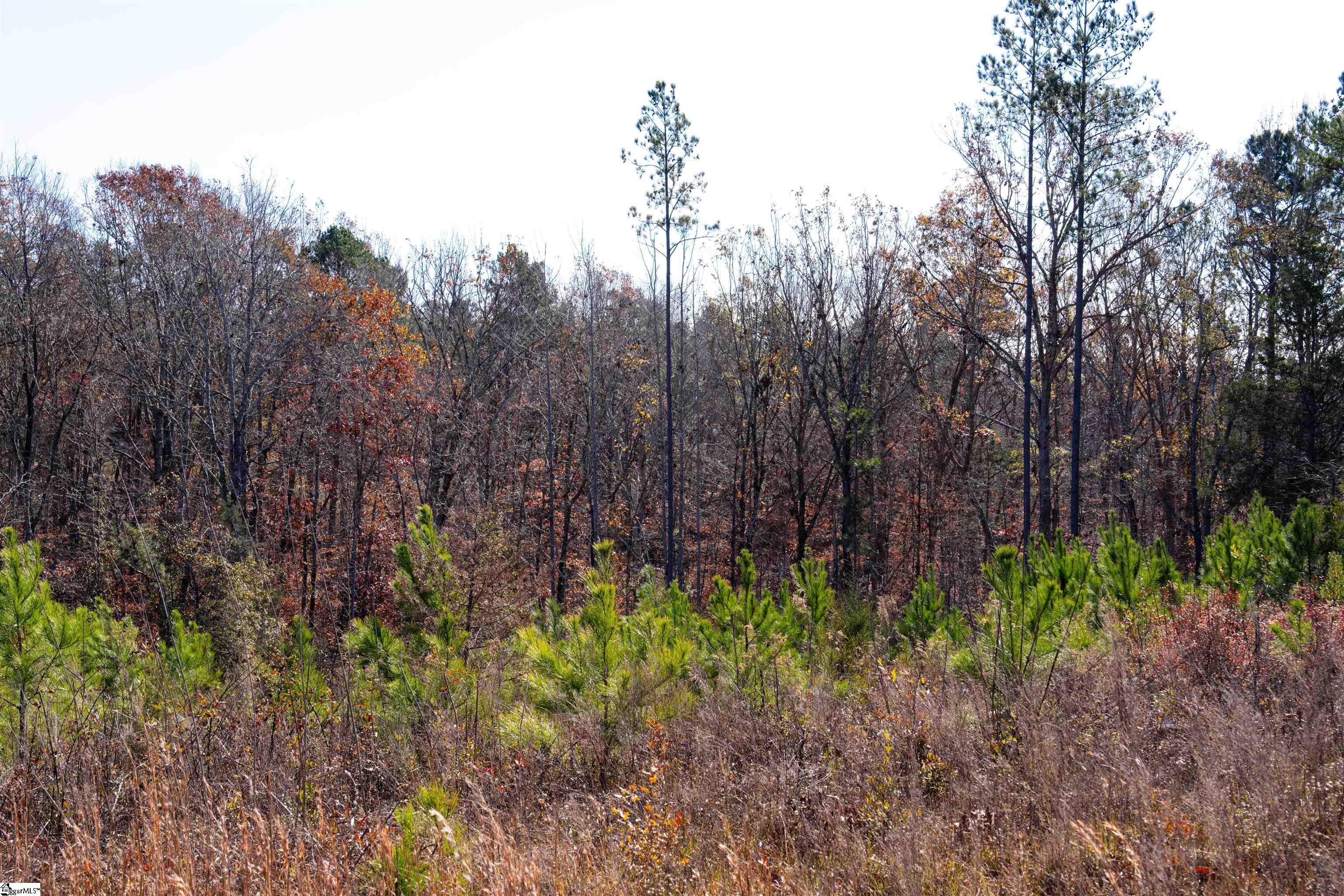 00 Tv Tower, Ware Shoals, South Carolina image 29