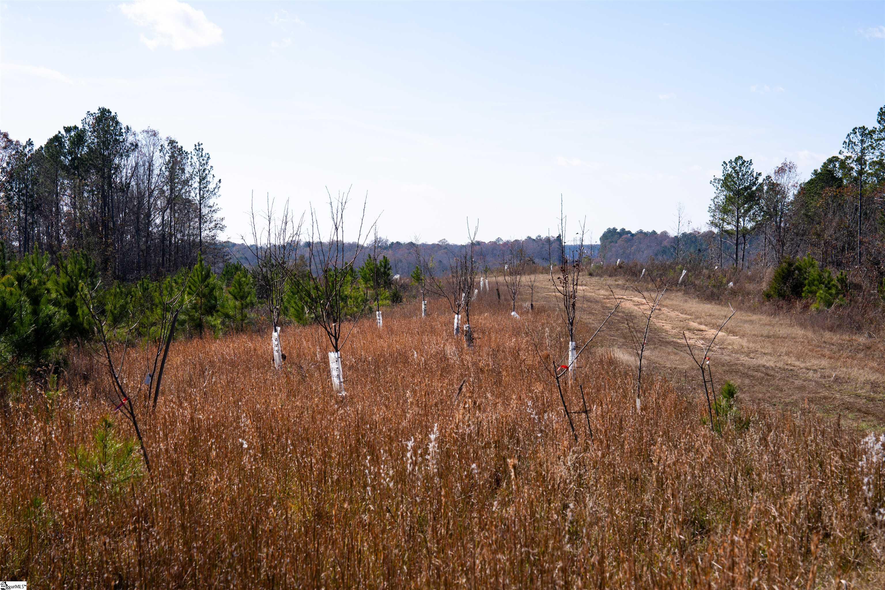 00 Tv Tower, Ware Shoals, South Carolina image 31