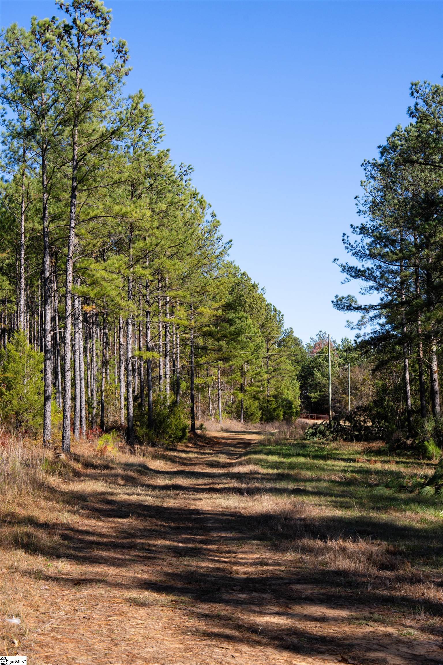 00 Tv Tower, Ware Shoals, South Carolina image 32