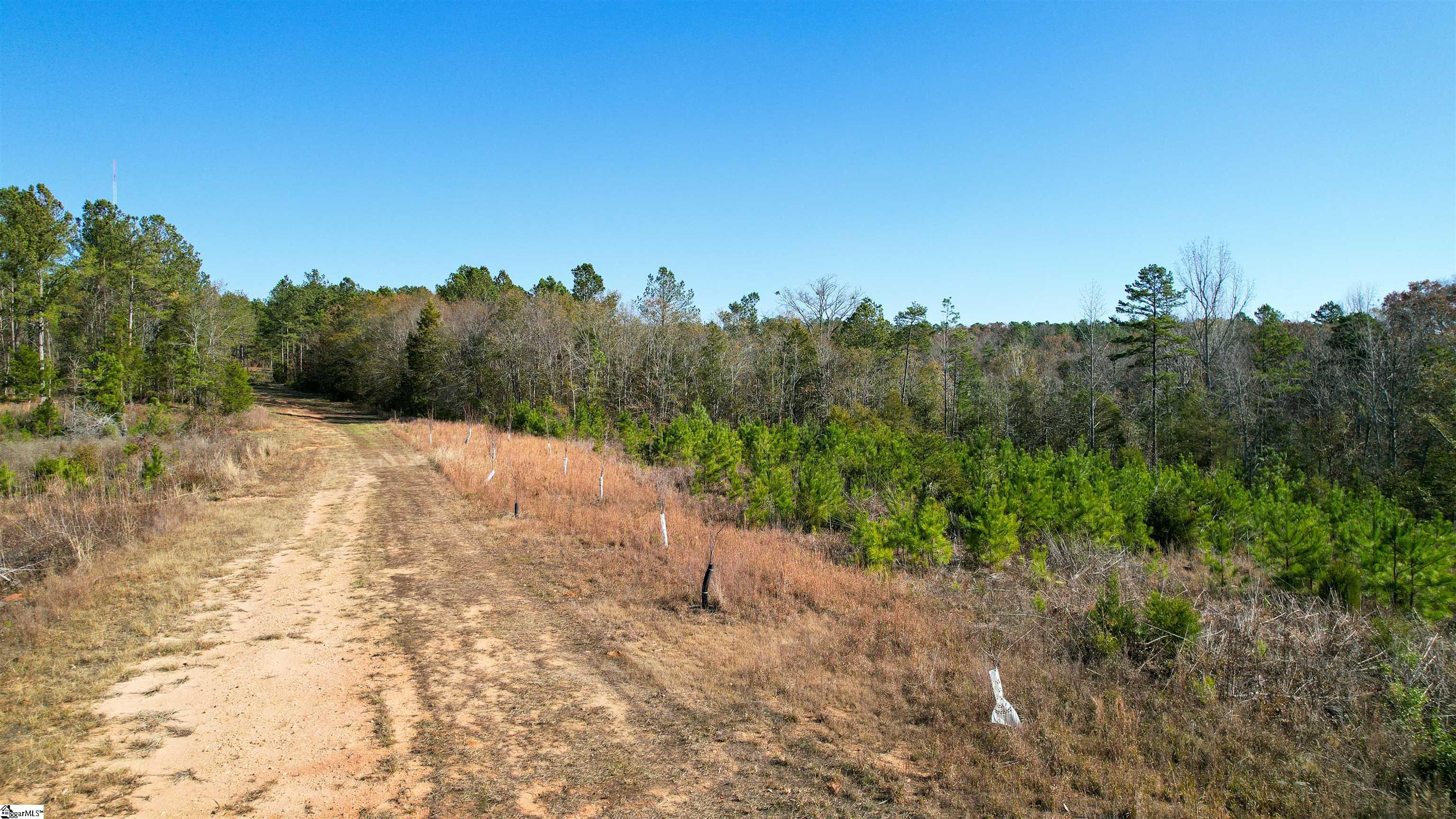 00 Tv Tower, Ware Shoals, South Carolina image 7
