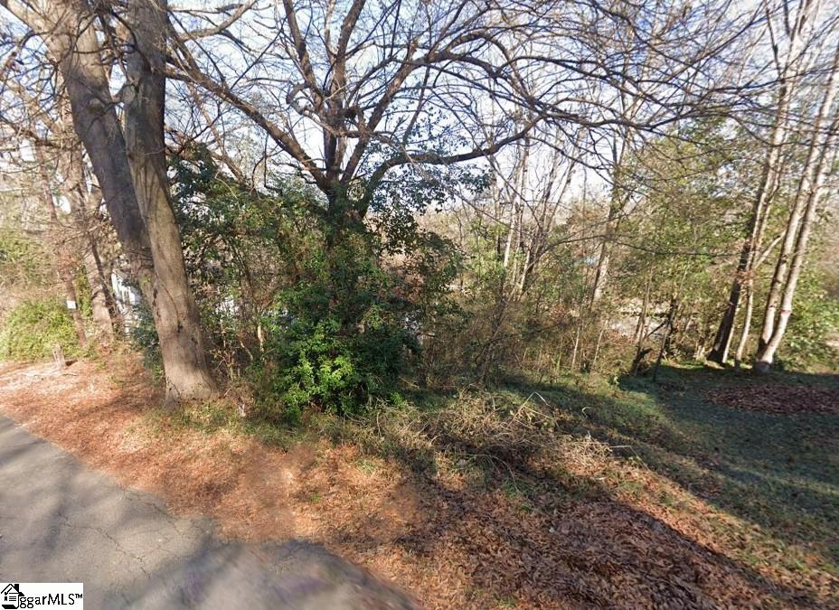 00 Bomar, Inman, South Carolina image 2