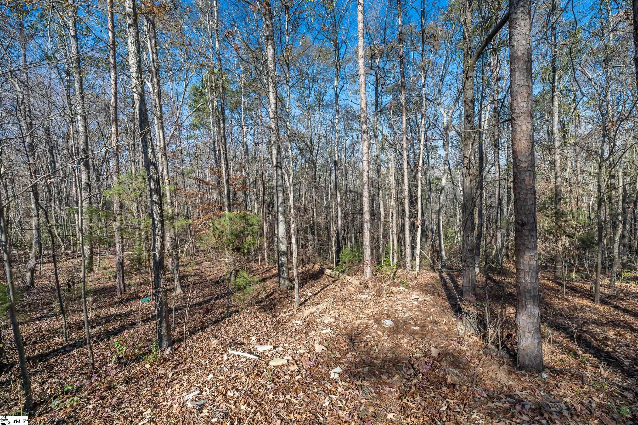 249 Monroe Bridge, Honea Path, South Carolina image 31