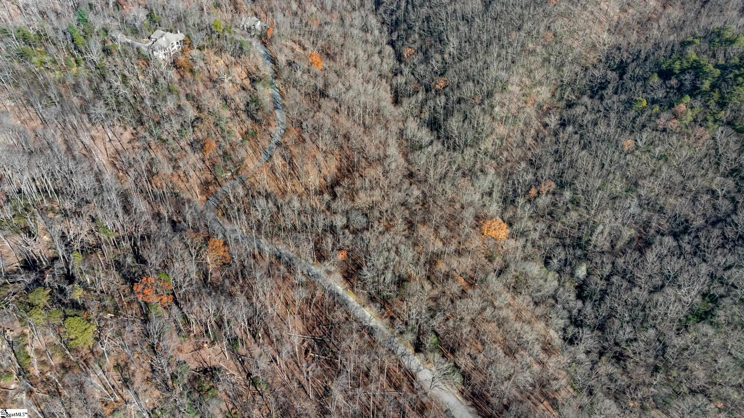 00 Panther Park, Travelers Rest, South Carolina image 11