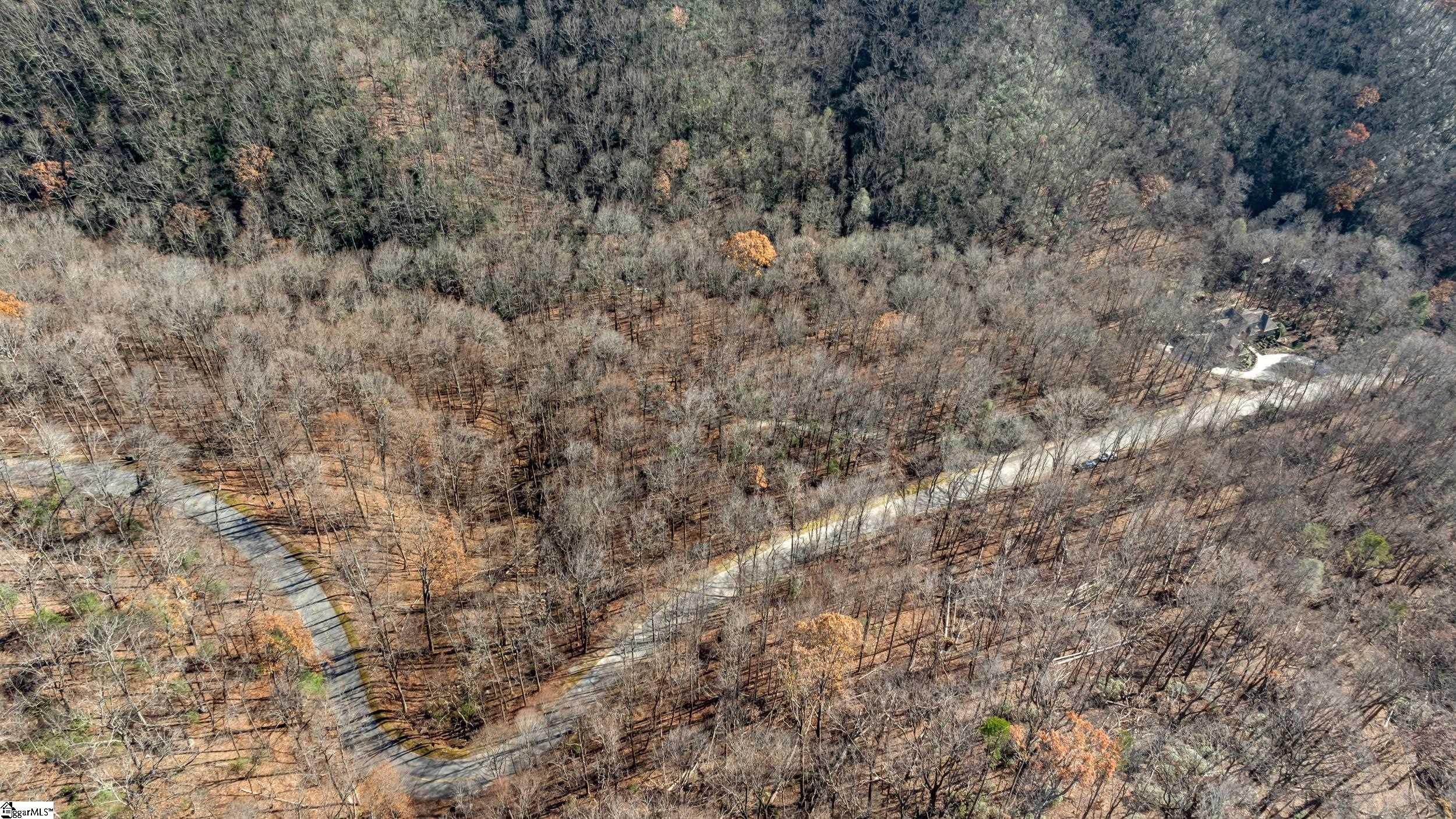 00 Panther Park, Travelers Rest, South Carolina image 12