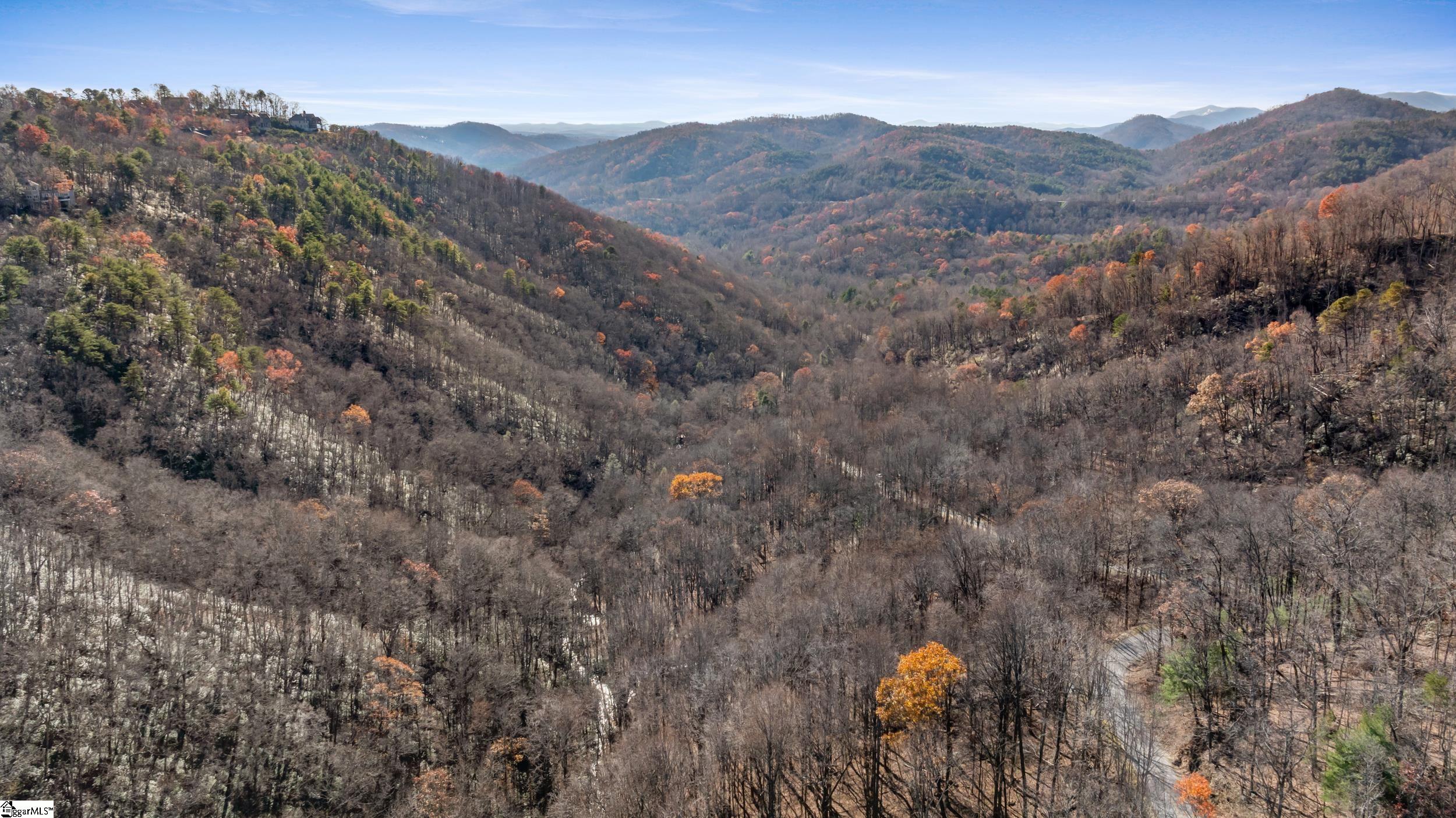 00 Panther Park, Travelers Rest, South Carolina image 14