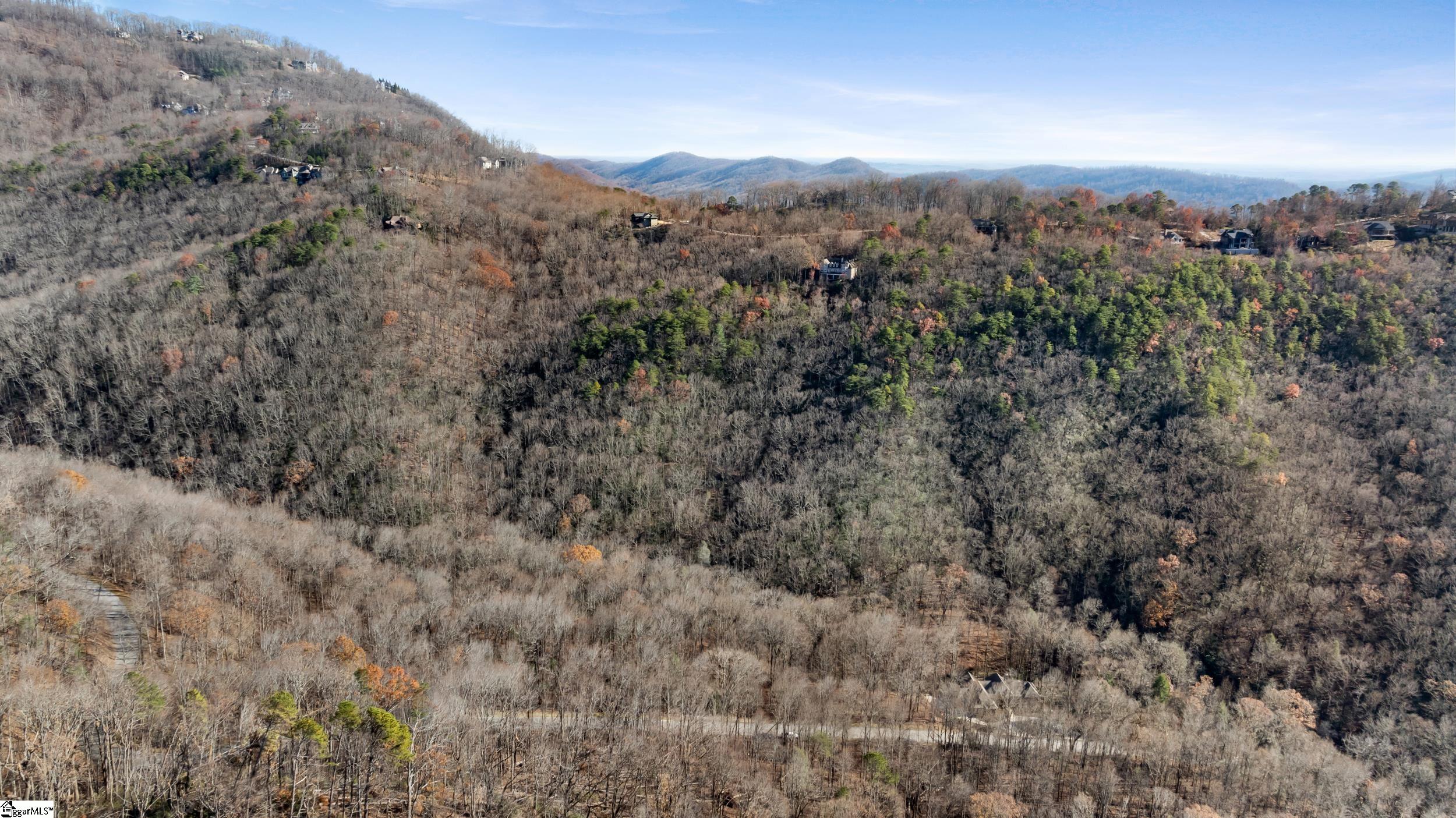 00 Panther Park, Travelers Rest, South Carolina image 17