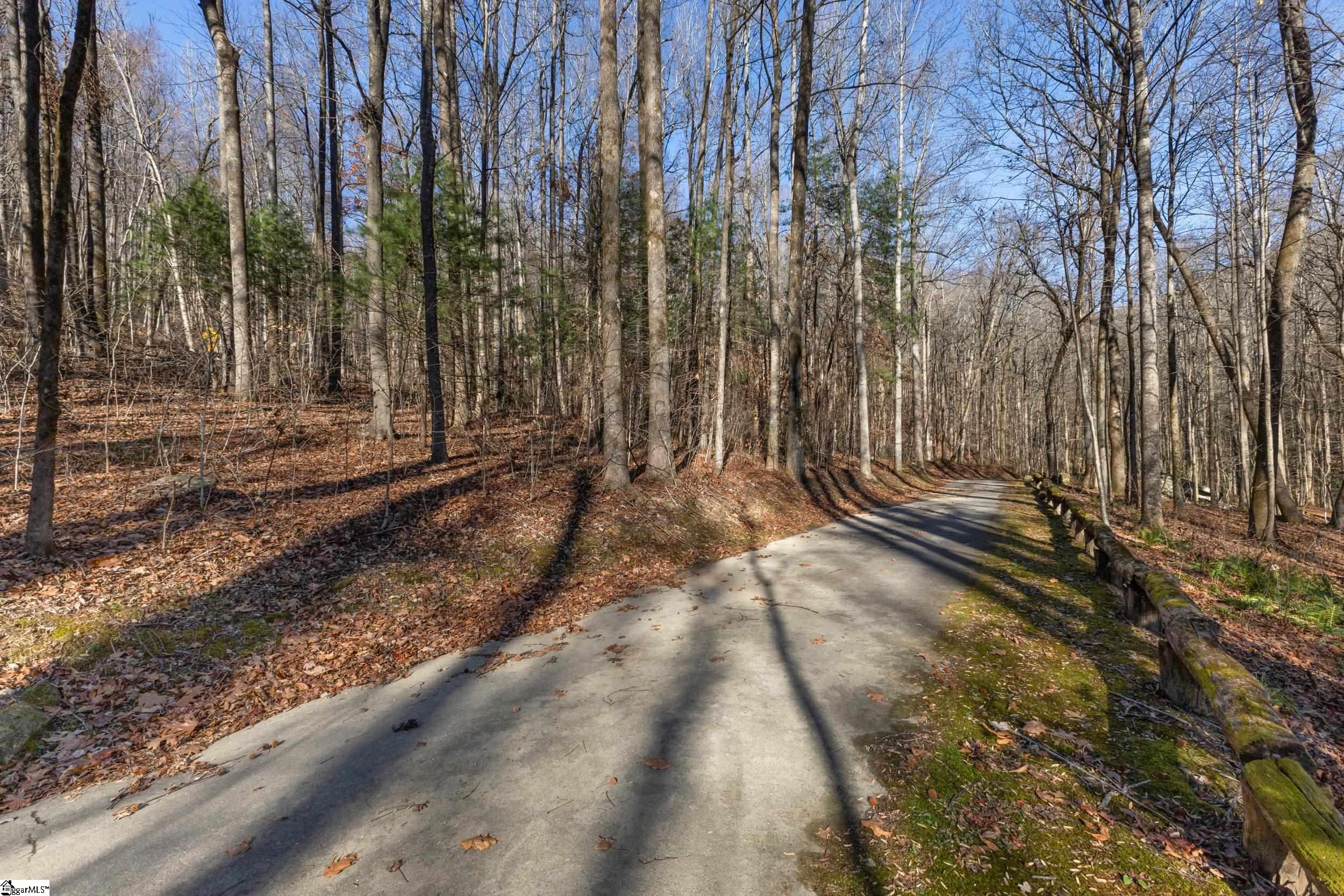 00 Panther Park, Travelers Rest, South Carolina image 21