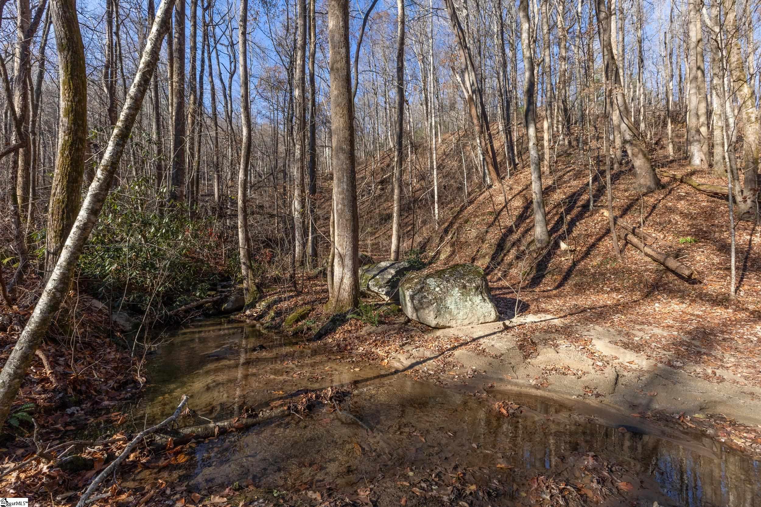 00 Panther Park, Travelers Rest, South Carolina image 22