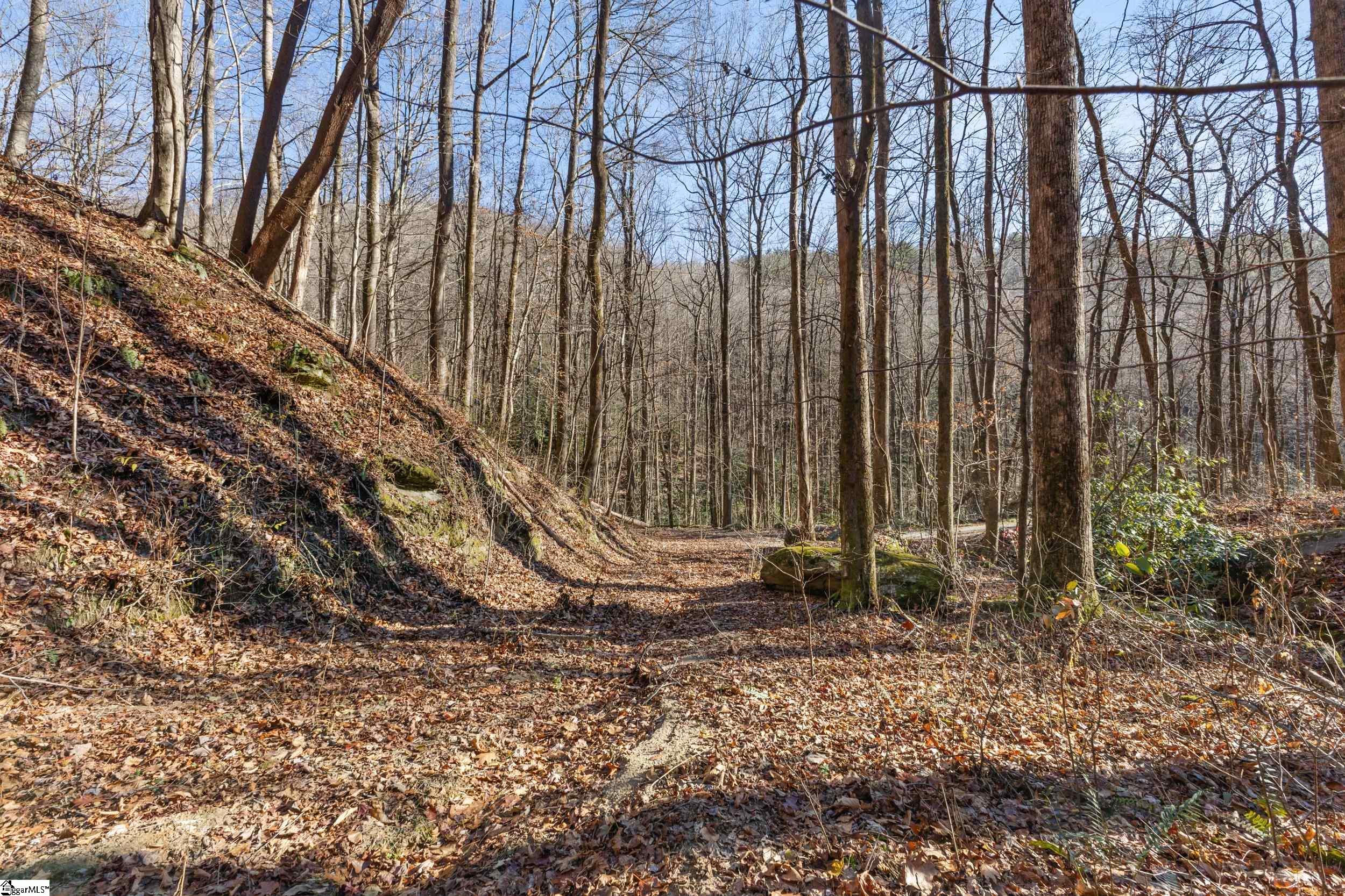 00 Panther Park, Travelers Rest, South Carolina image 23