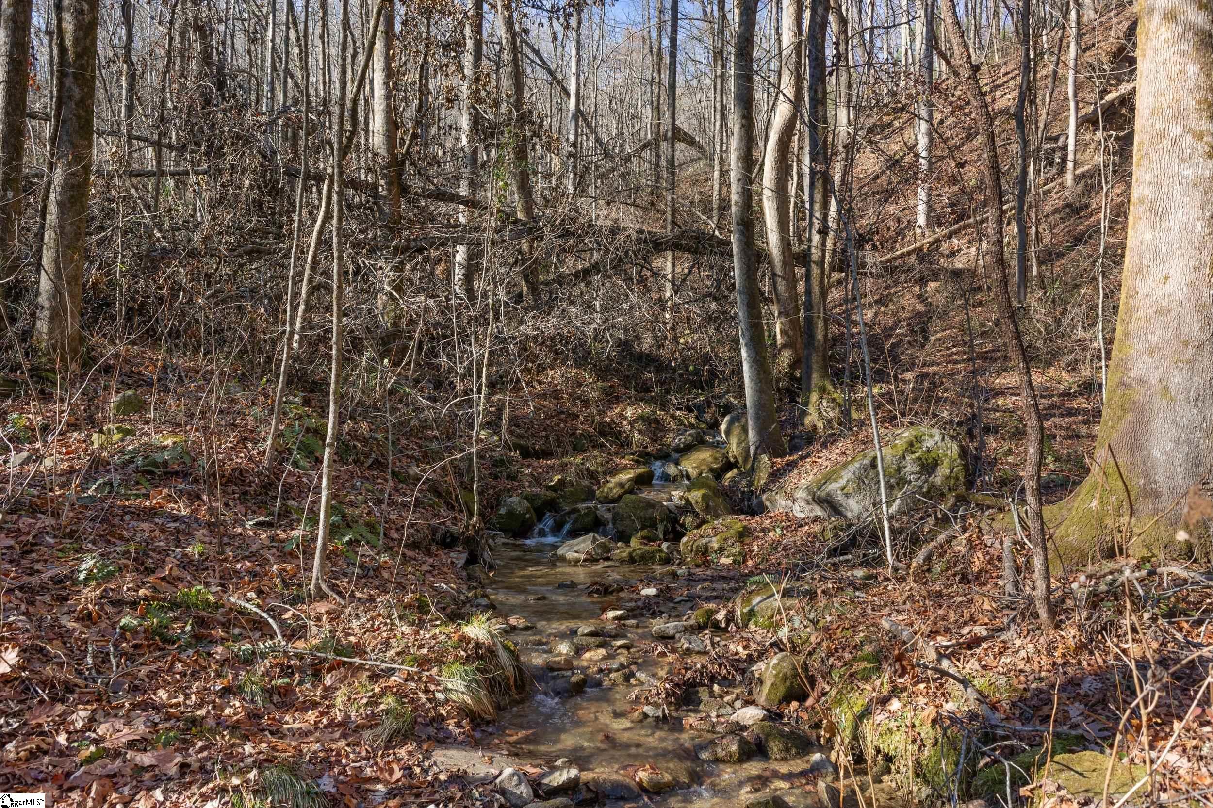 00 Panther Park, Travelers Rest, South Carolina image 4