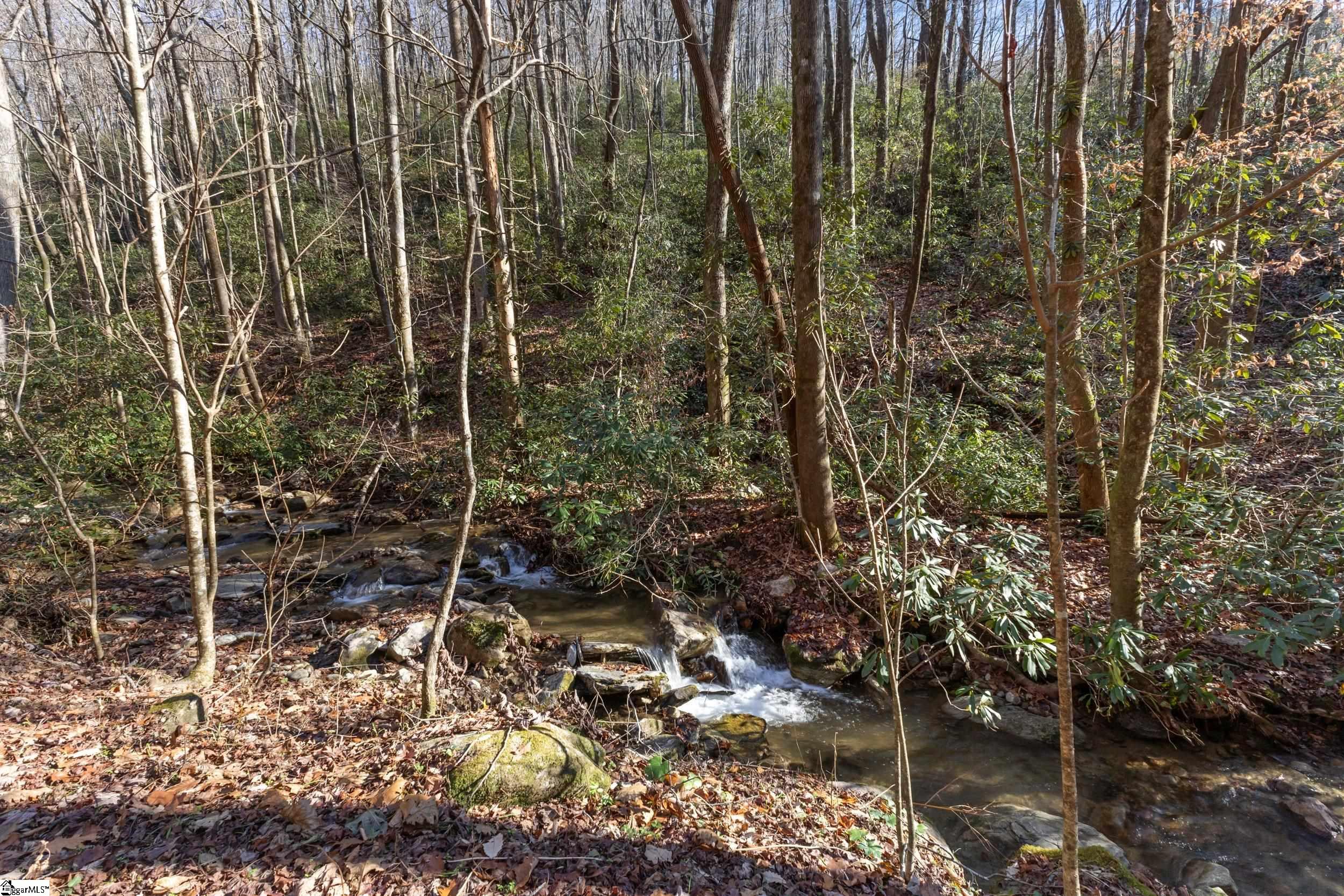 00 Panther Park, Travelers Rest, South Carolina image 5