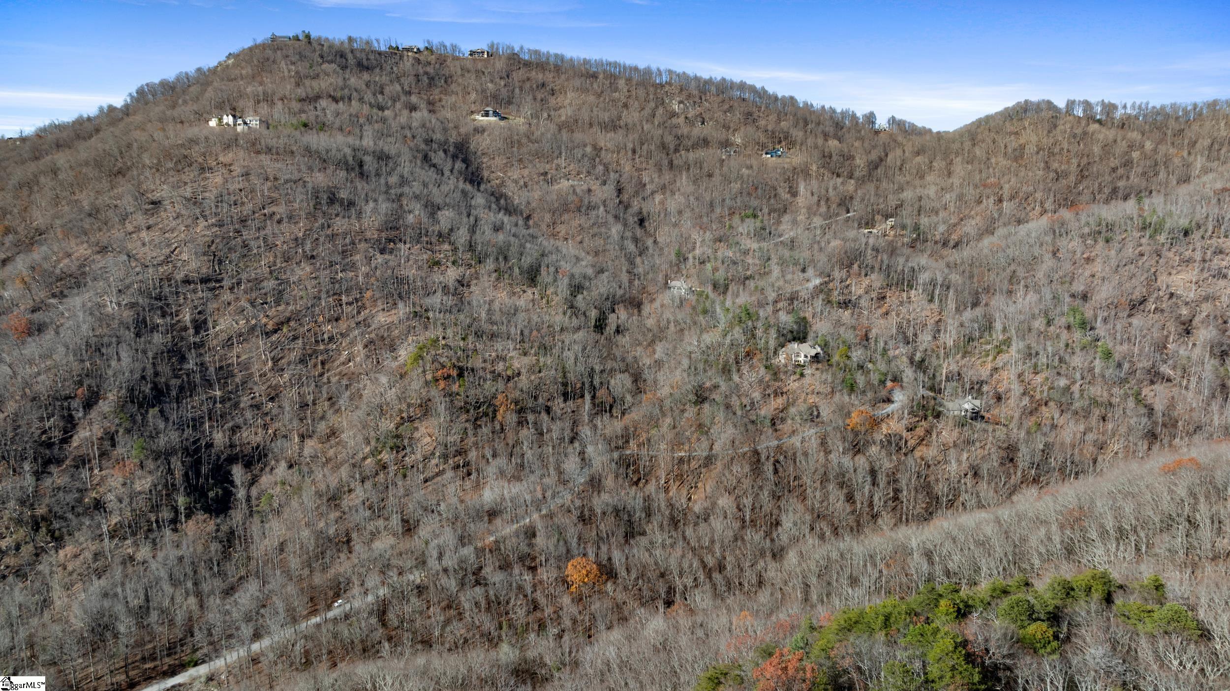 00 Panther Park, Travelers Rest, South Carolina image 6