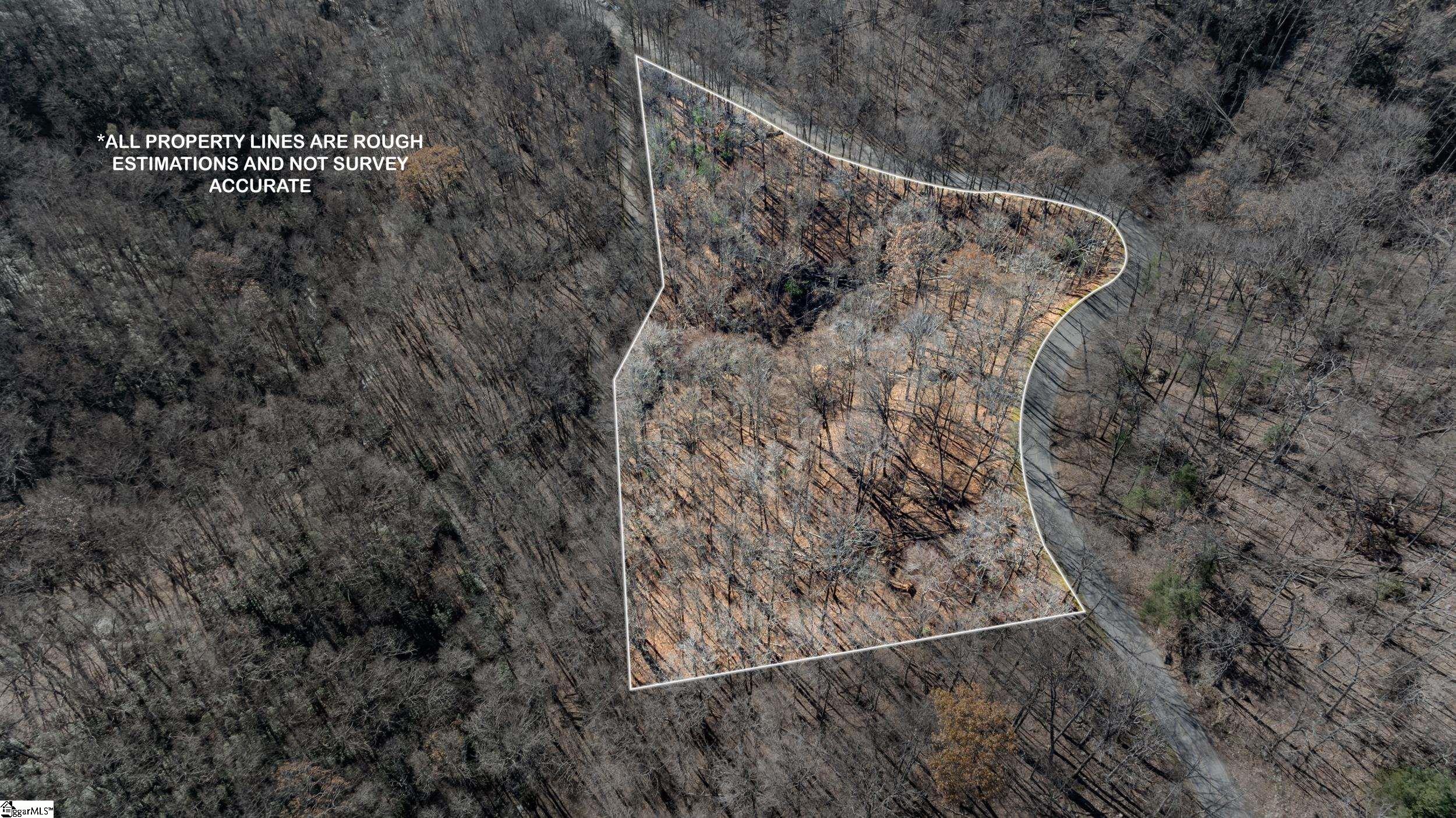 00 Panther Park, Travelers Rest, South Carolina image 8
