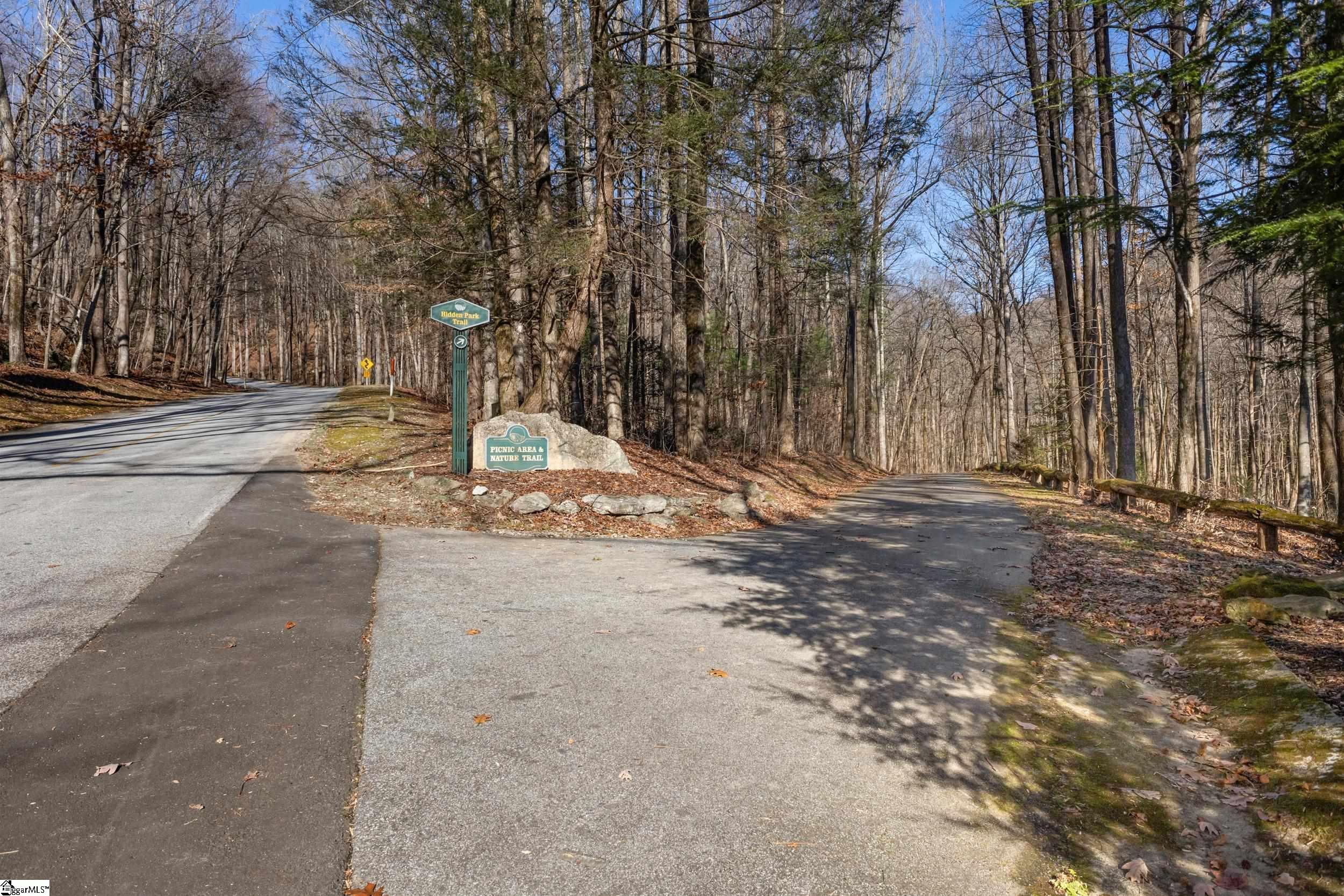 00 Panther Park, Travelers Rest, South Carolina image 9