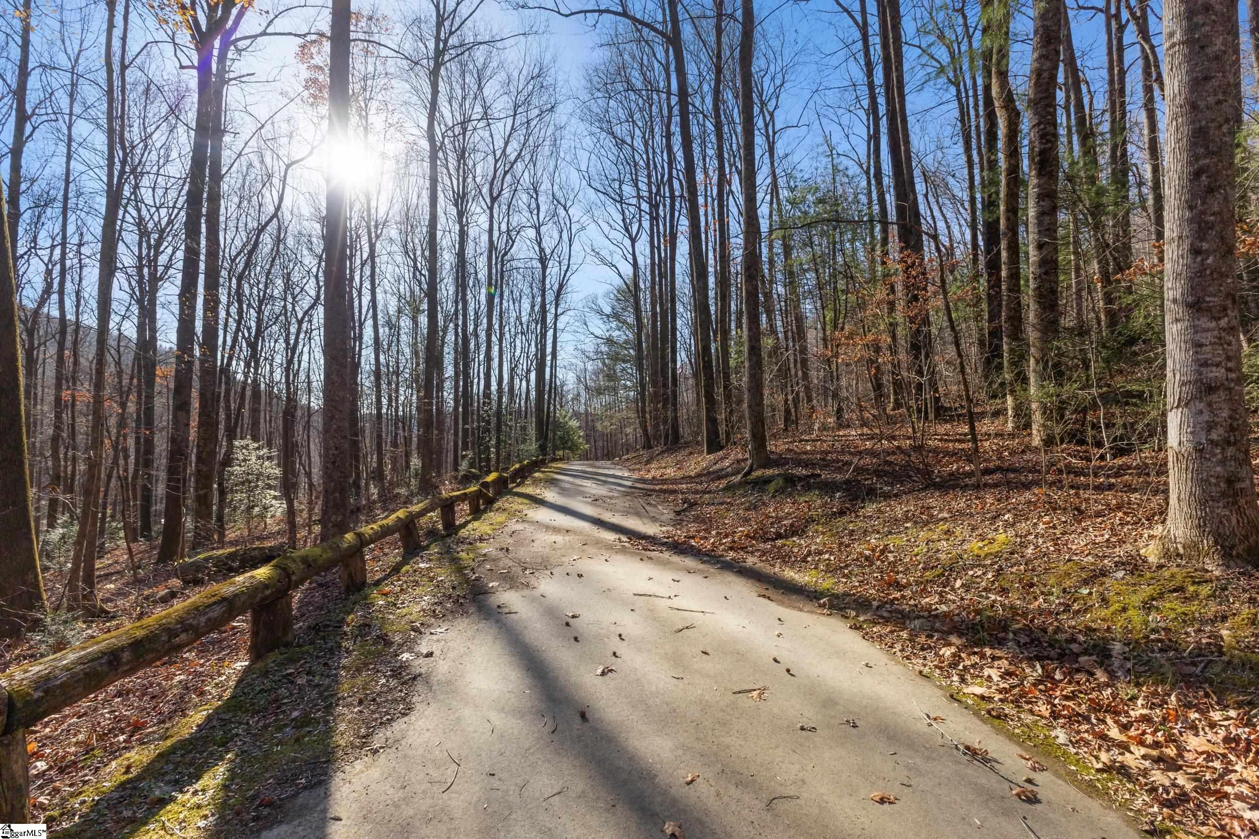 00 Panther Park, Travelers Rest, South Carolina image 10