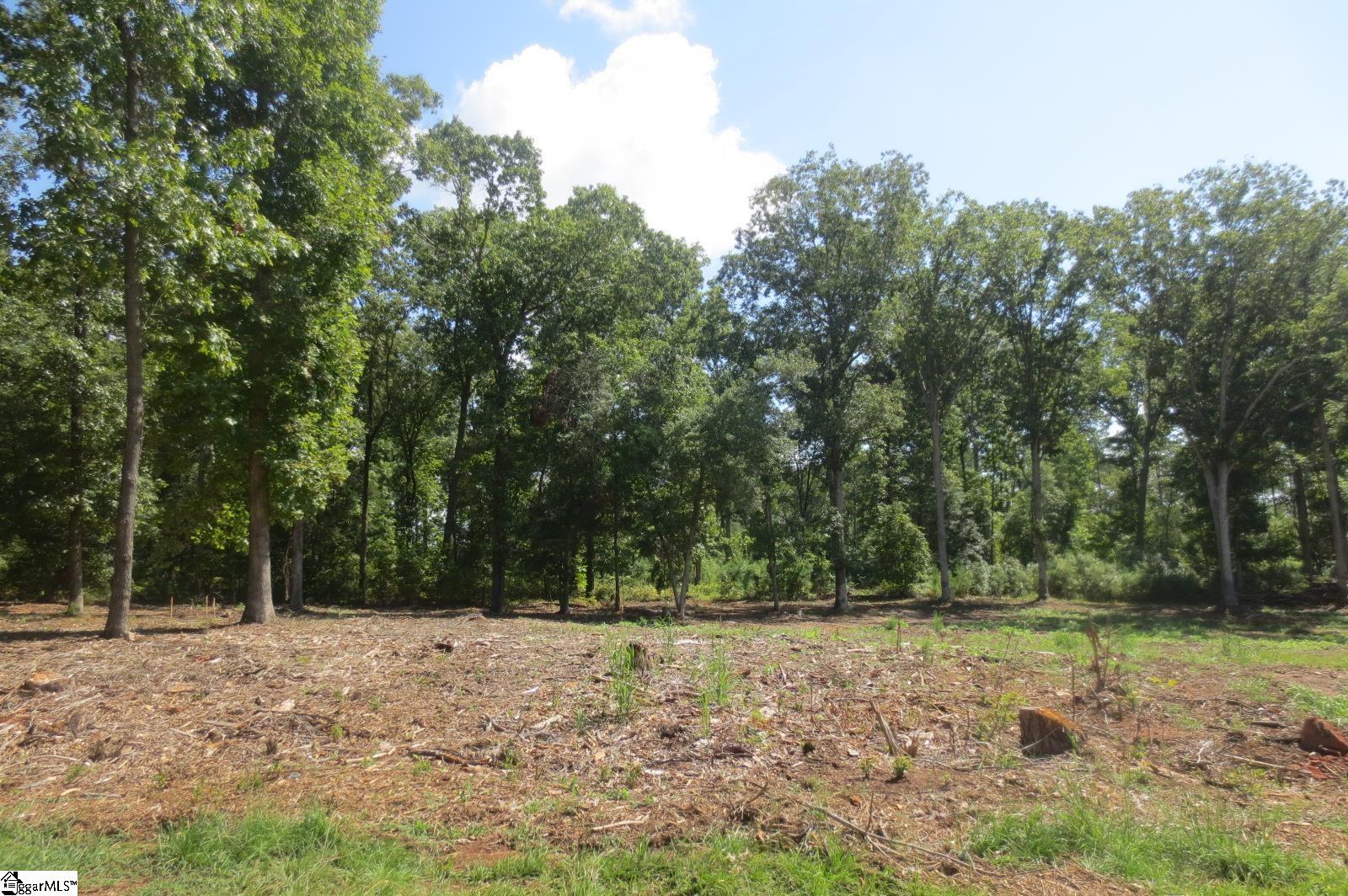 205 Carpenter, Anderson, South Carolina image 32