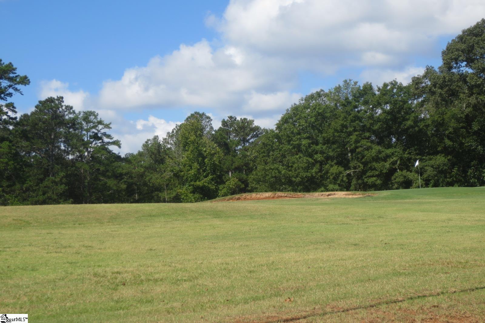 205 Carpenter, Anderson, South Carolina image 37