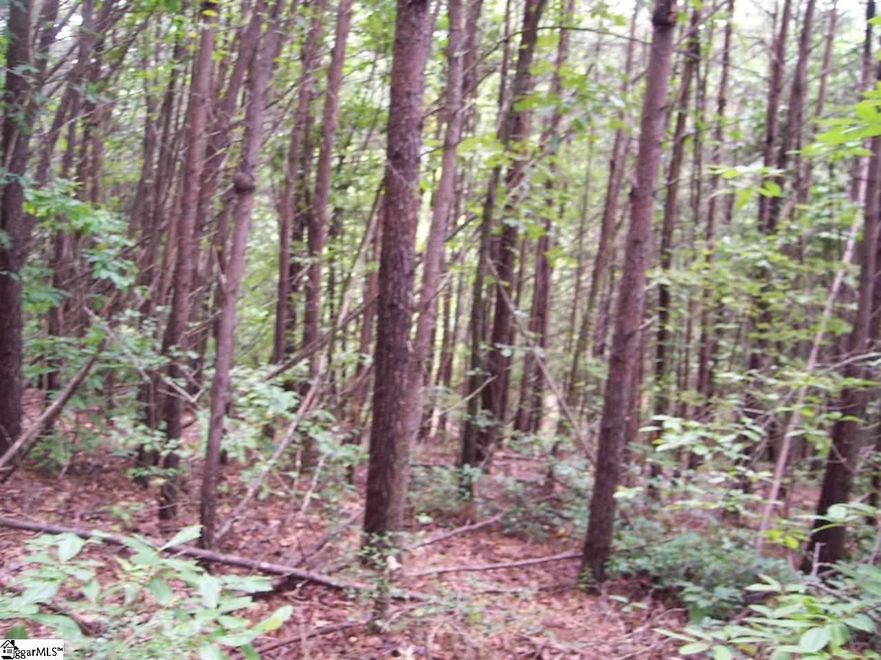MLS #1544605 img 0