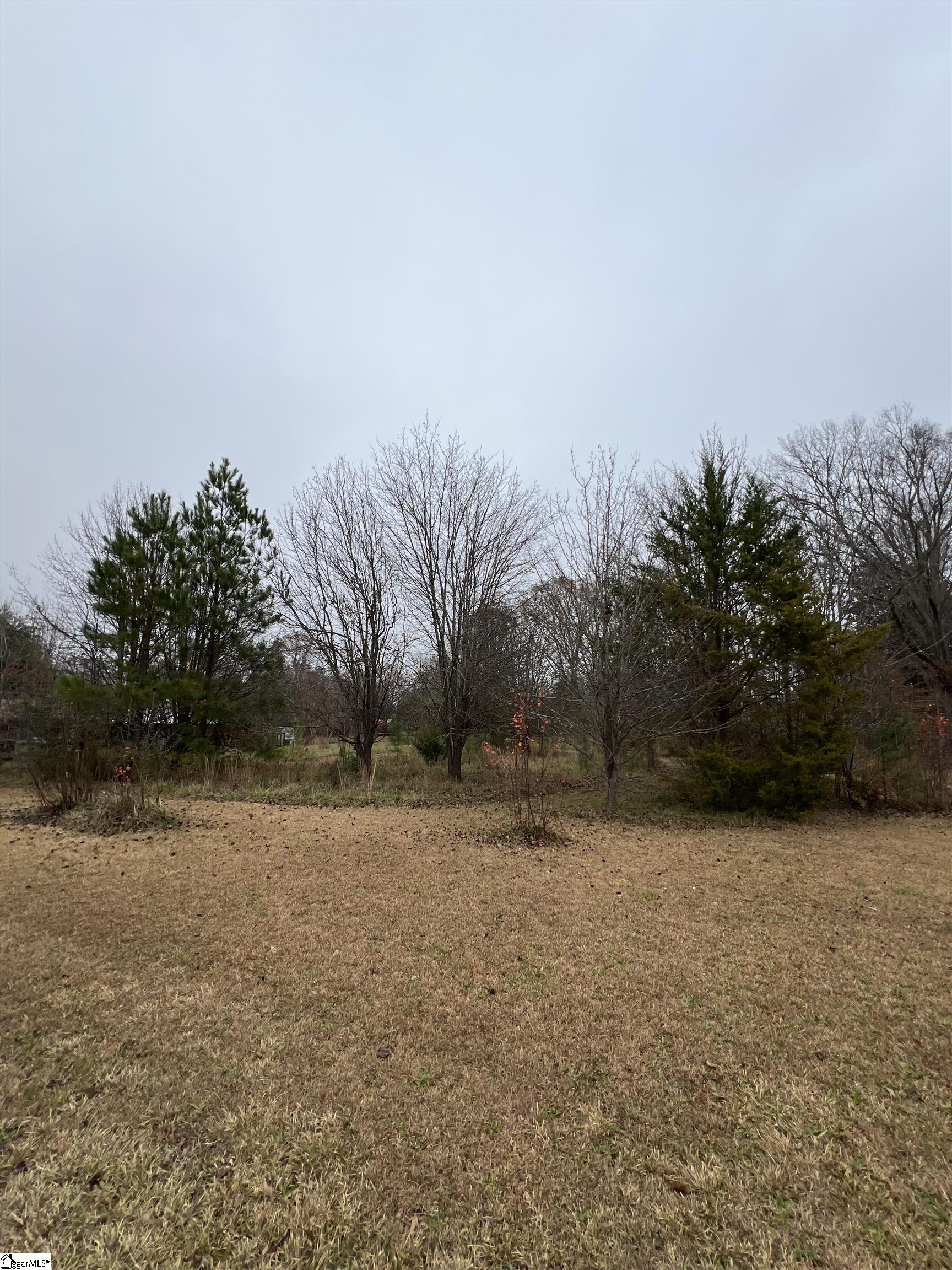 00 Blakley, Laurens, South Carolina image 5
