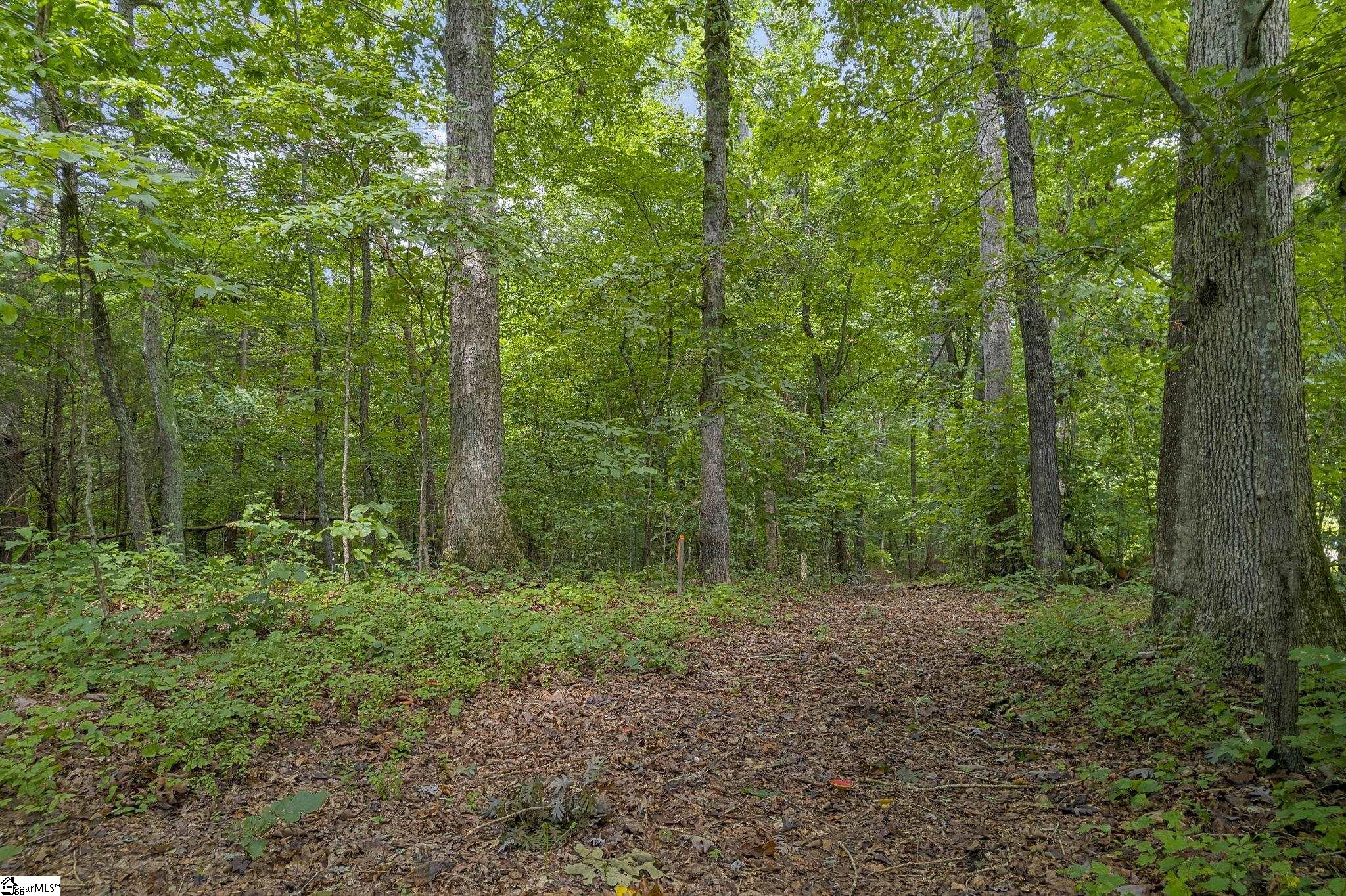 White Plains, Cowpens, South Carolina image 11