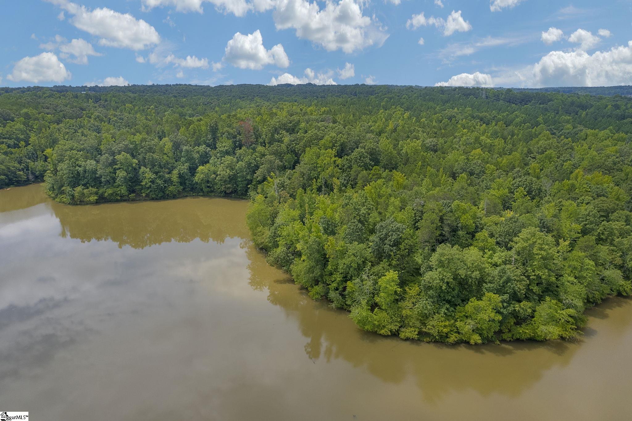 White Plains, Cowpens, South Carolina image 17