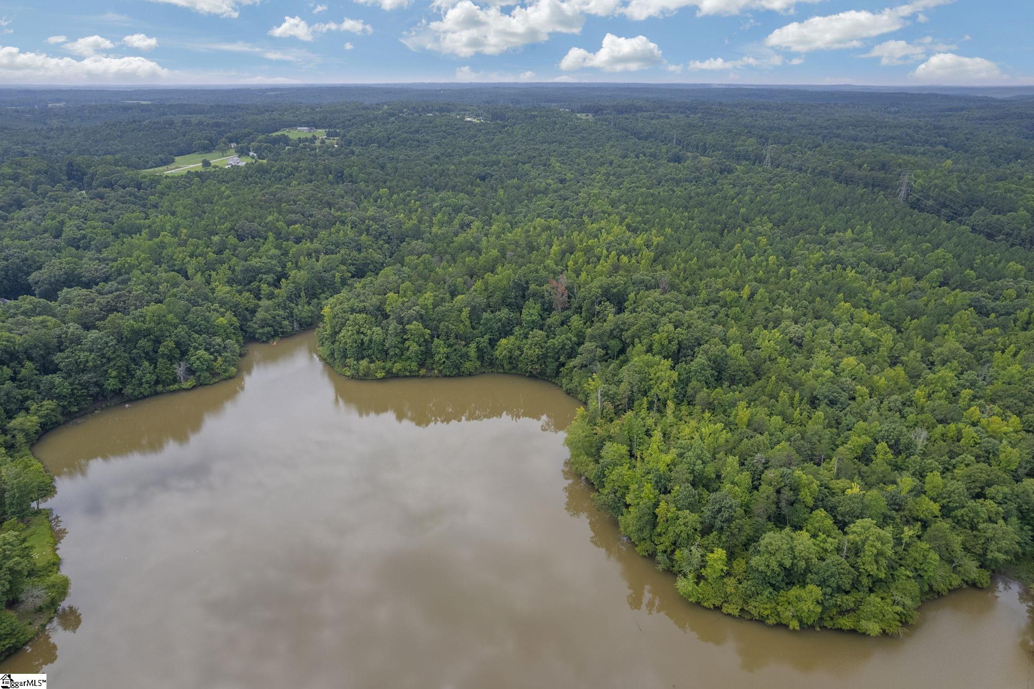 White Plains, Cowpens, South Carolina image 19