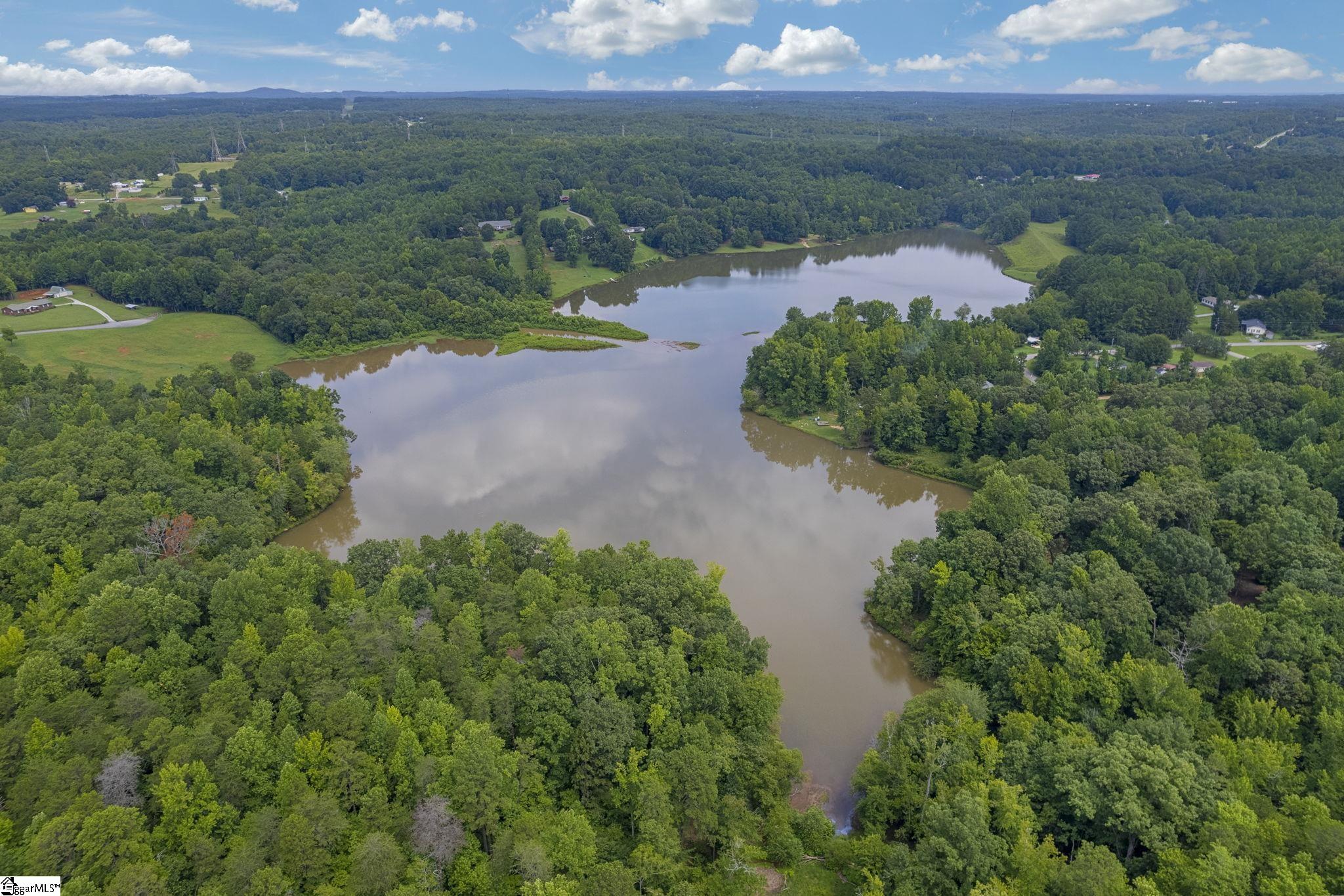White Plains, Cowpens, South Carolina image 20