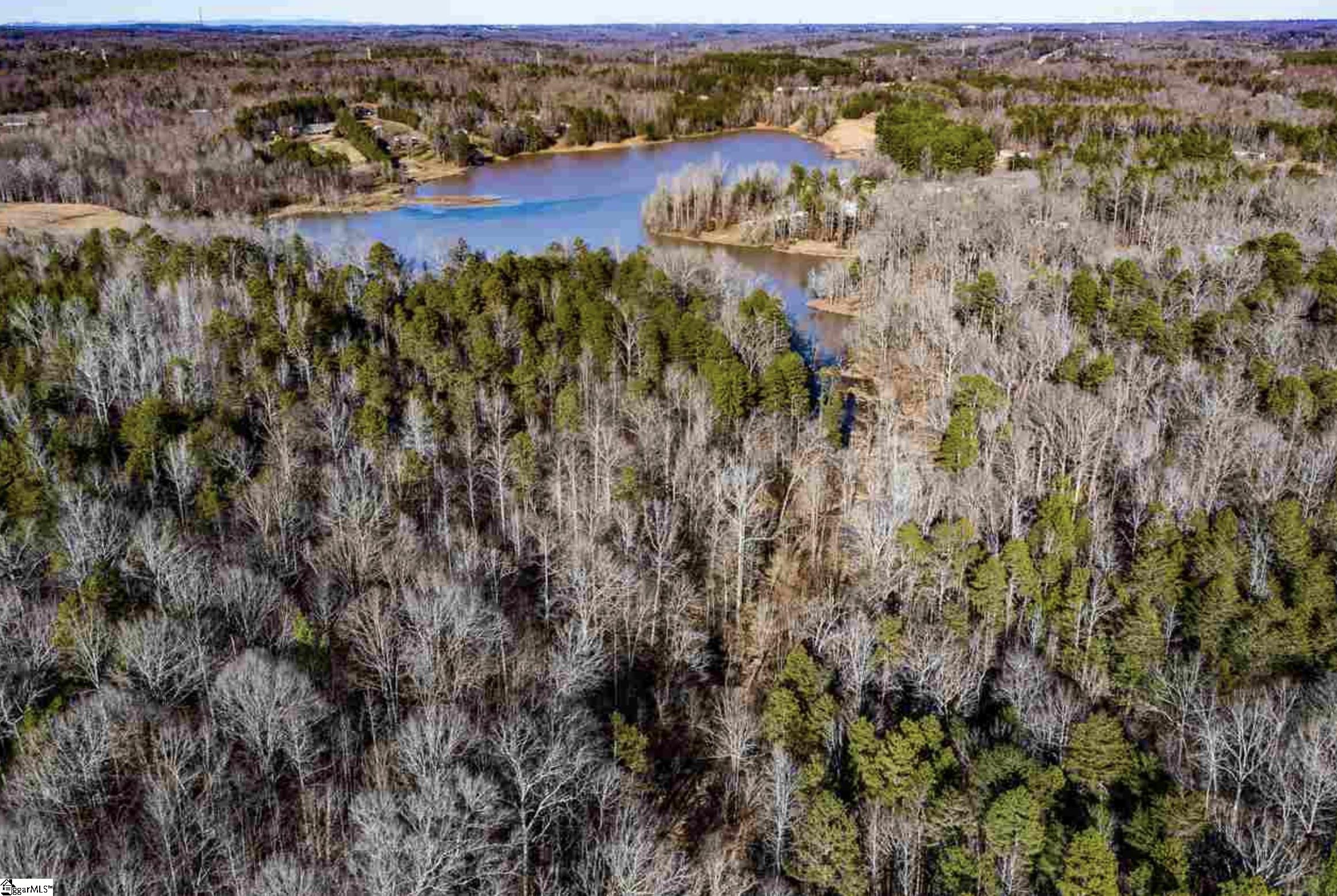 White Plains, Cowpens, South Carolina image 3