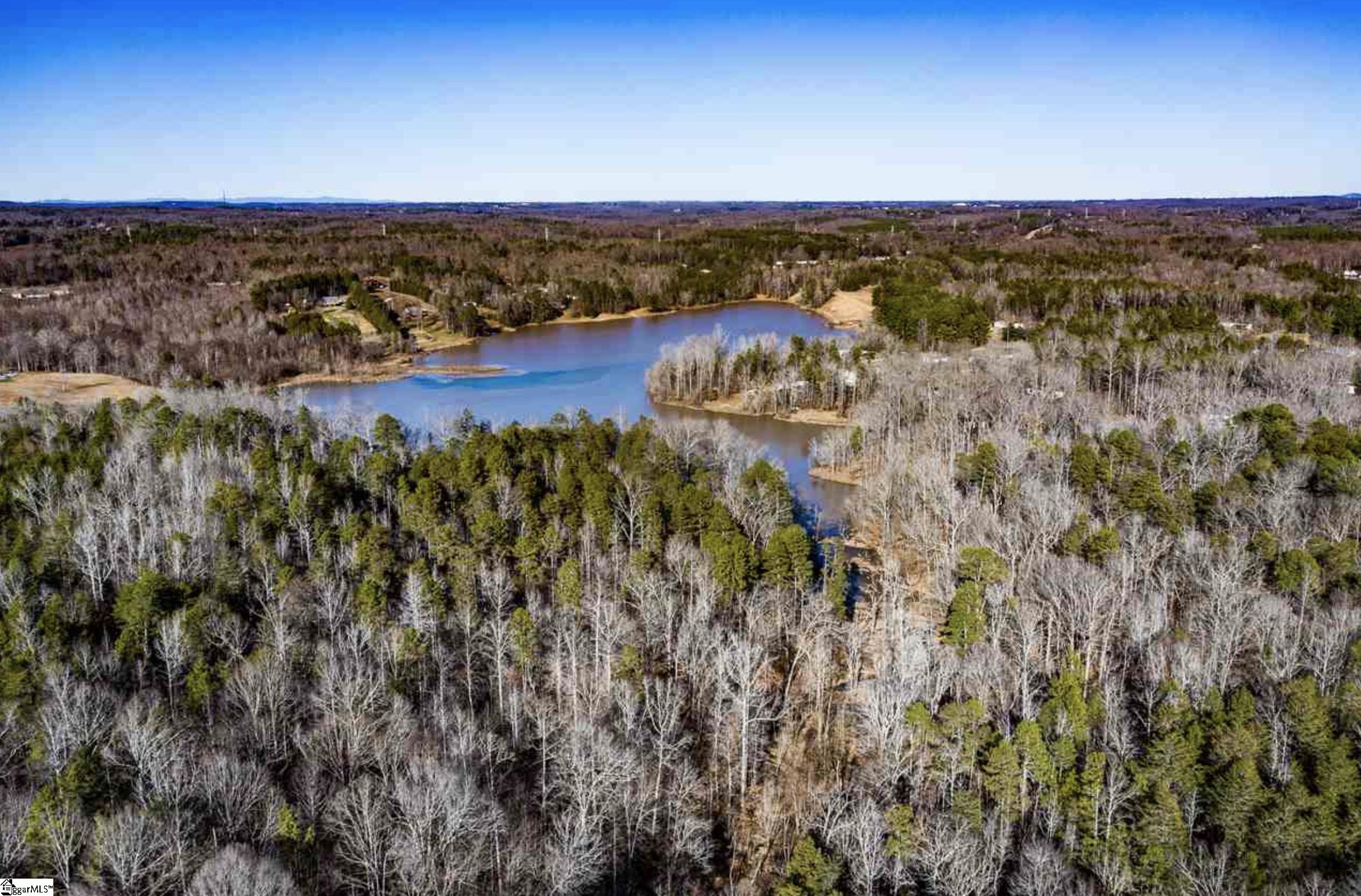 White Plains, Cowpens, South Carolina image 4