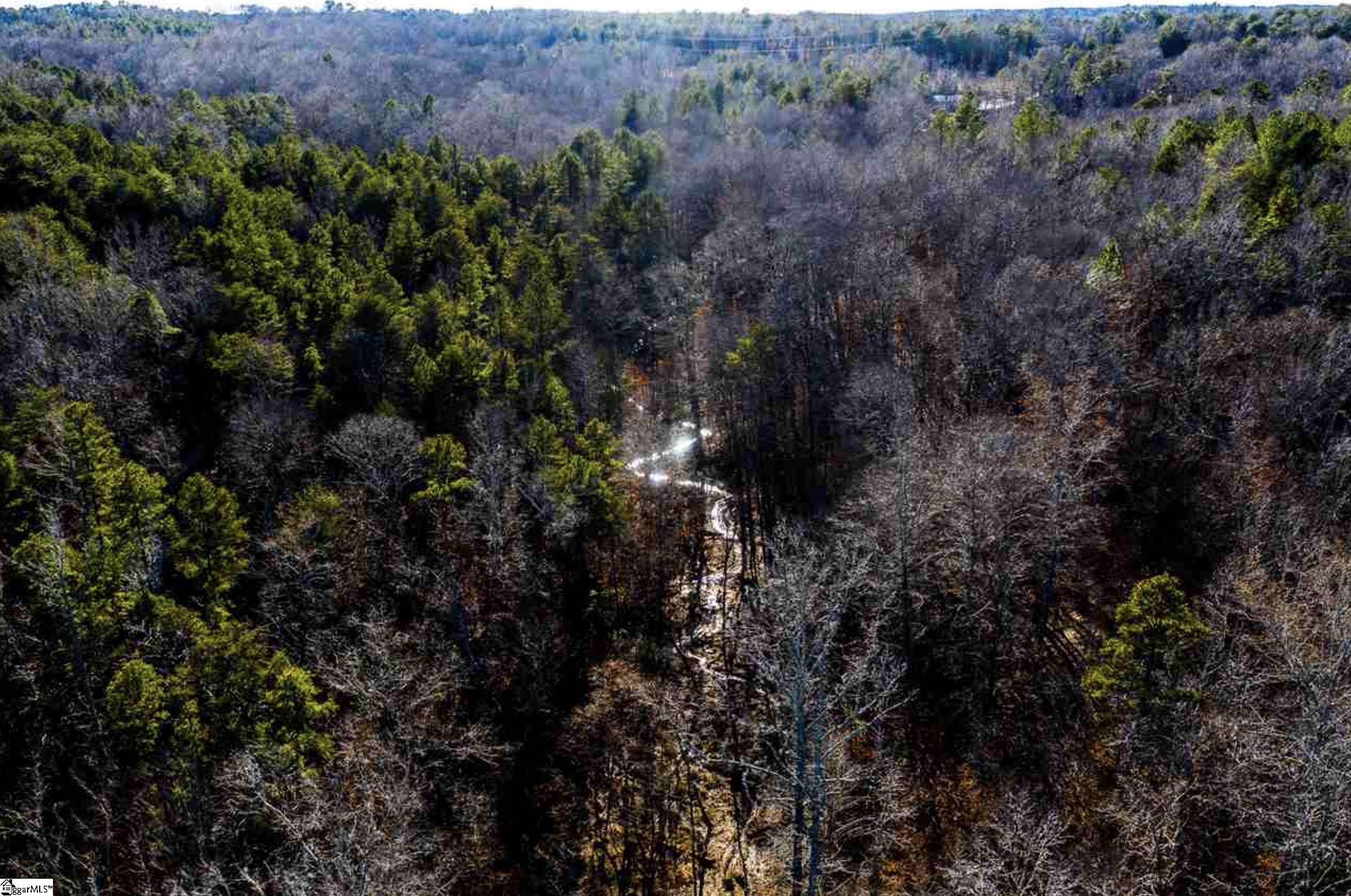 White Plains, Cowpens, South Carolina image 5