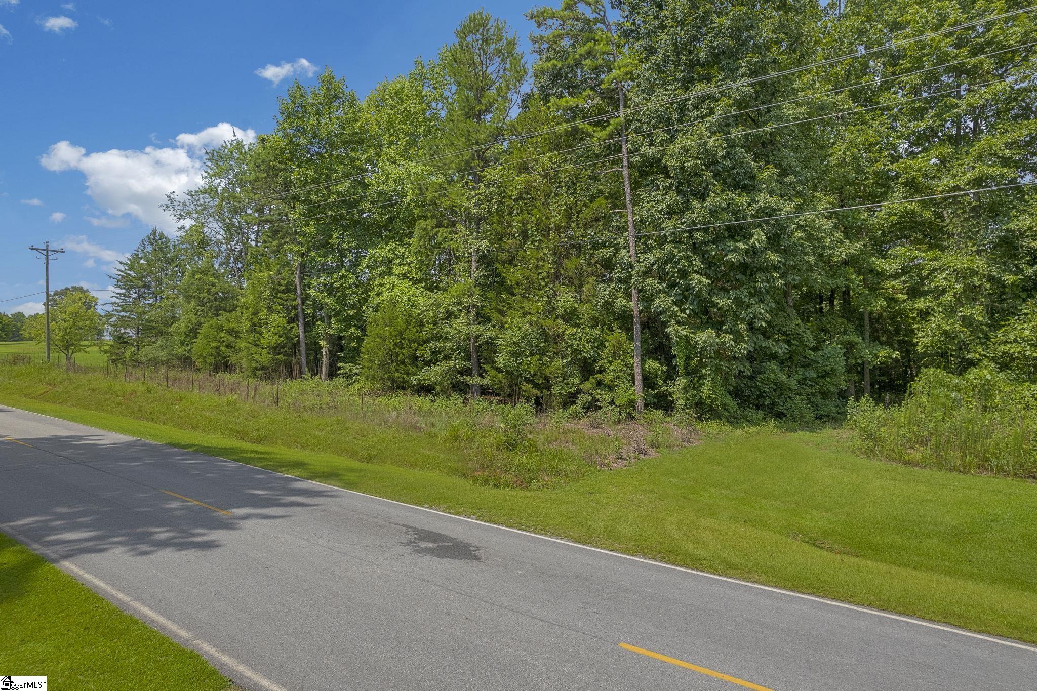 White Plains, Cowpens, South Carolina image 9