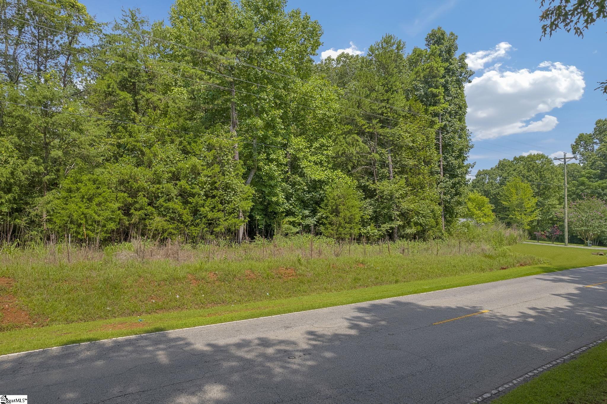 White Plains, Cowpens, South Carolina image 10