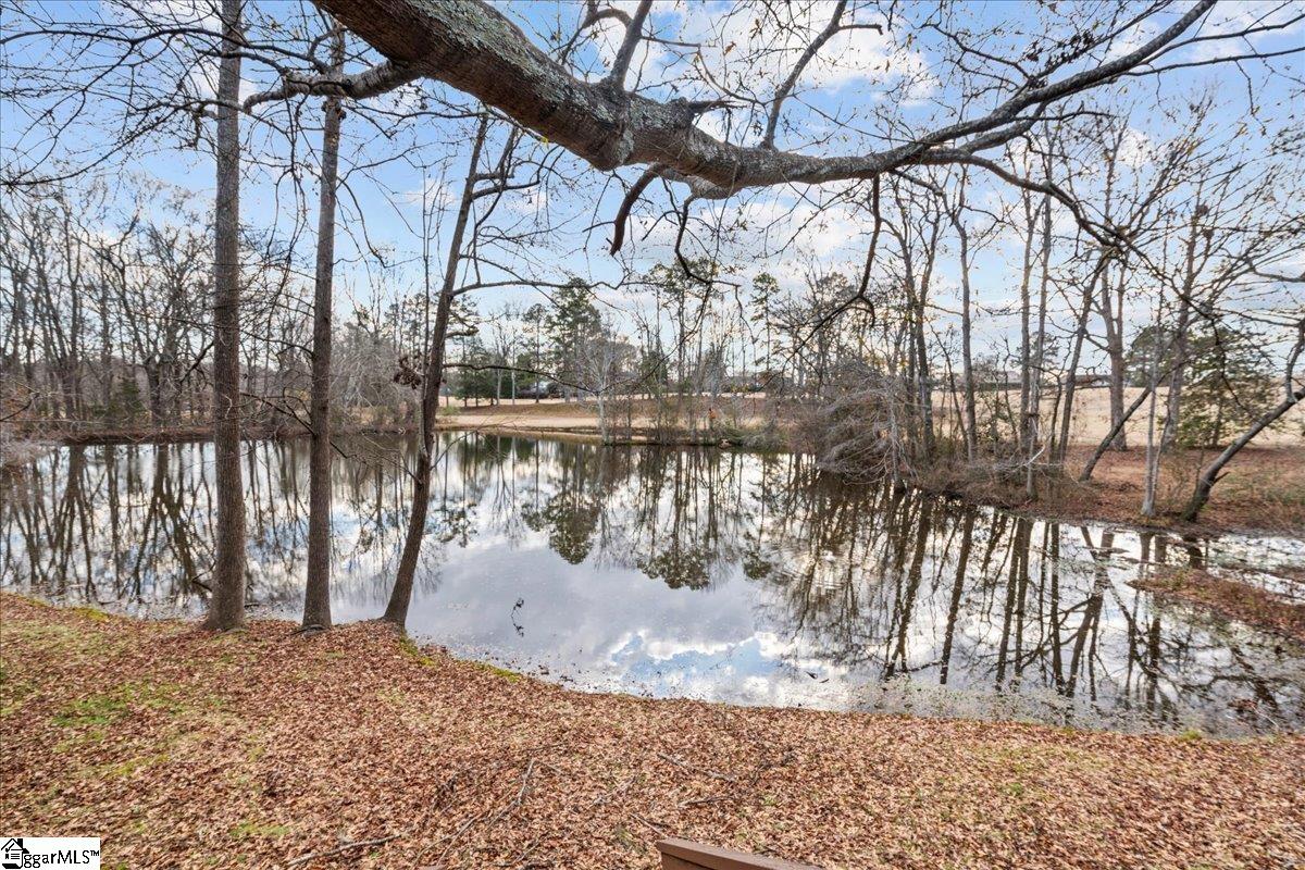 3106 Bethel, Simpsonville, South Carolina image 15