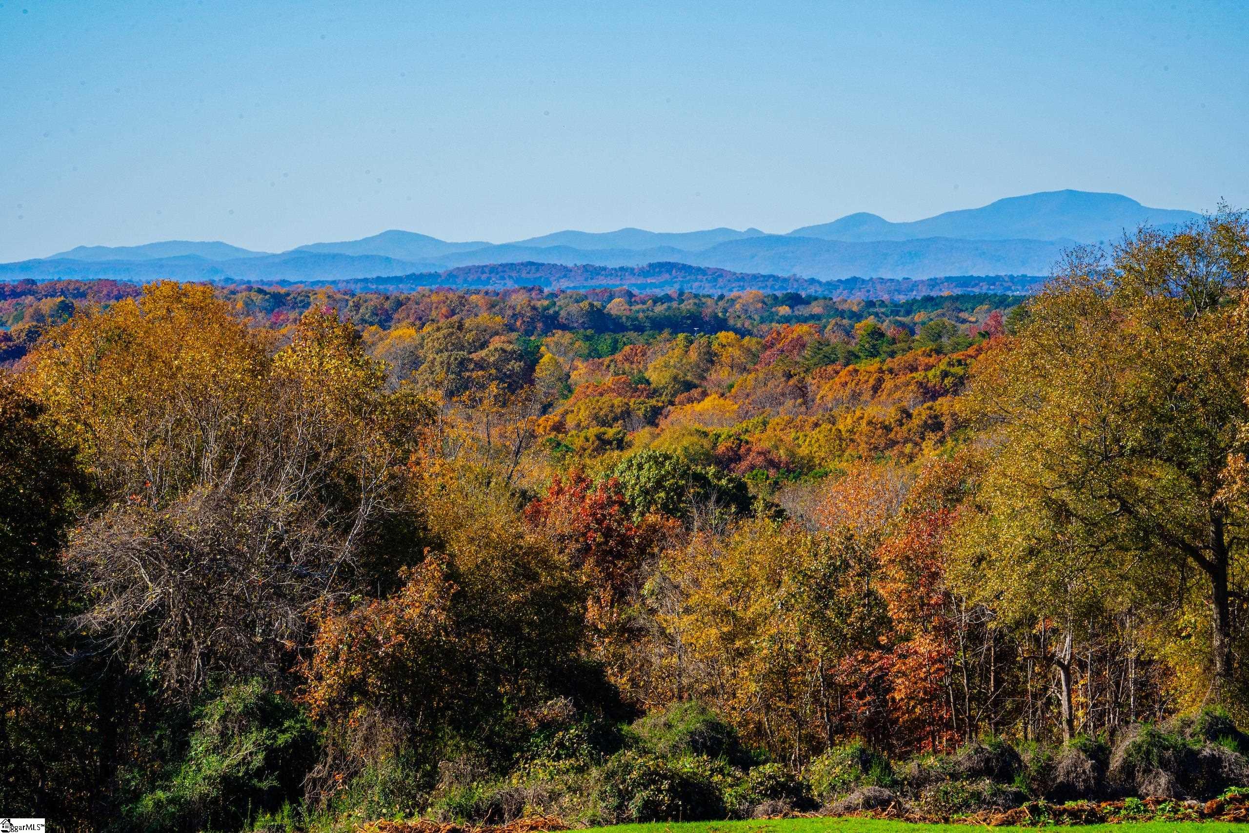 102 Waterfall Overlook, Easley, South Carolina image 15