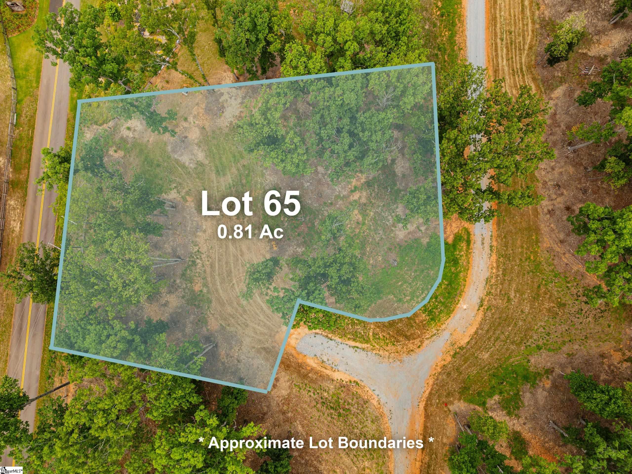 102 Waterfall Overlook, Easley, South Carolina image 6